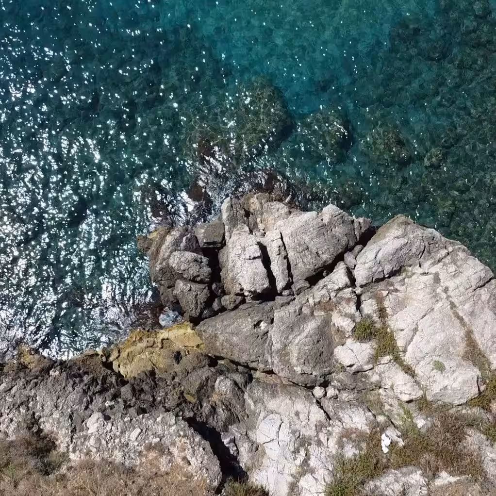 The heart of the sea