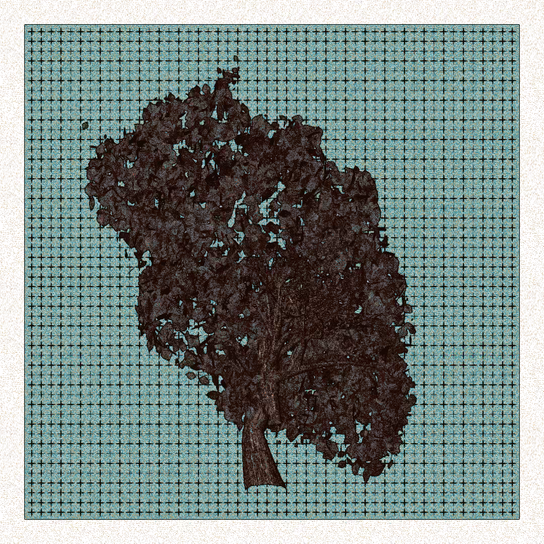_argania[primaria] #119
