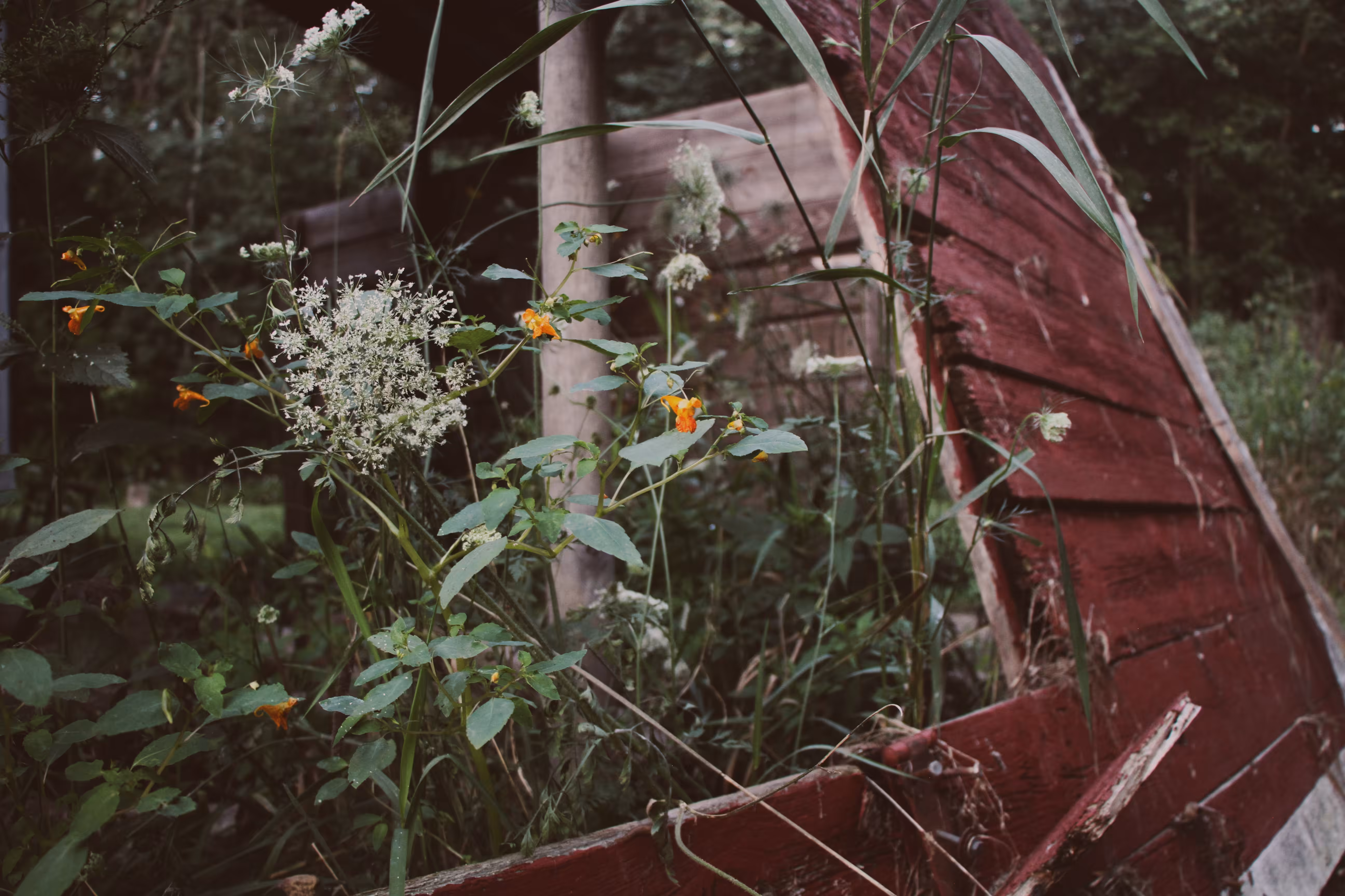 _thrive