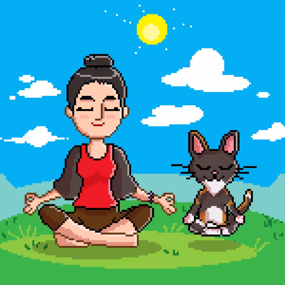 The Meditation