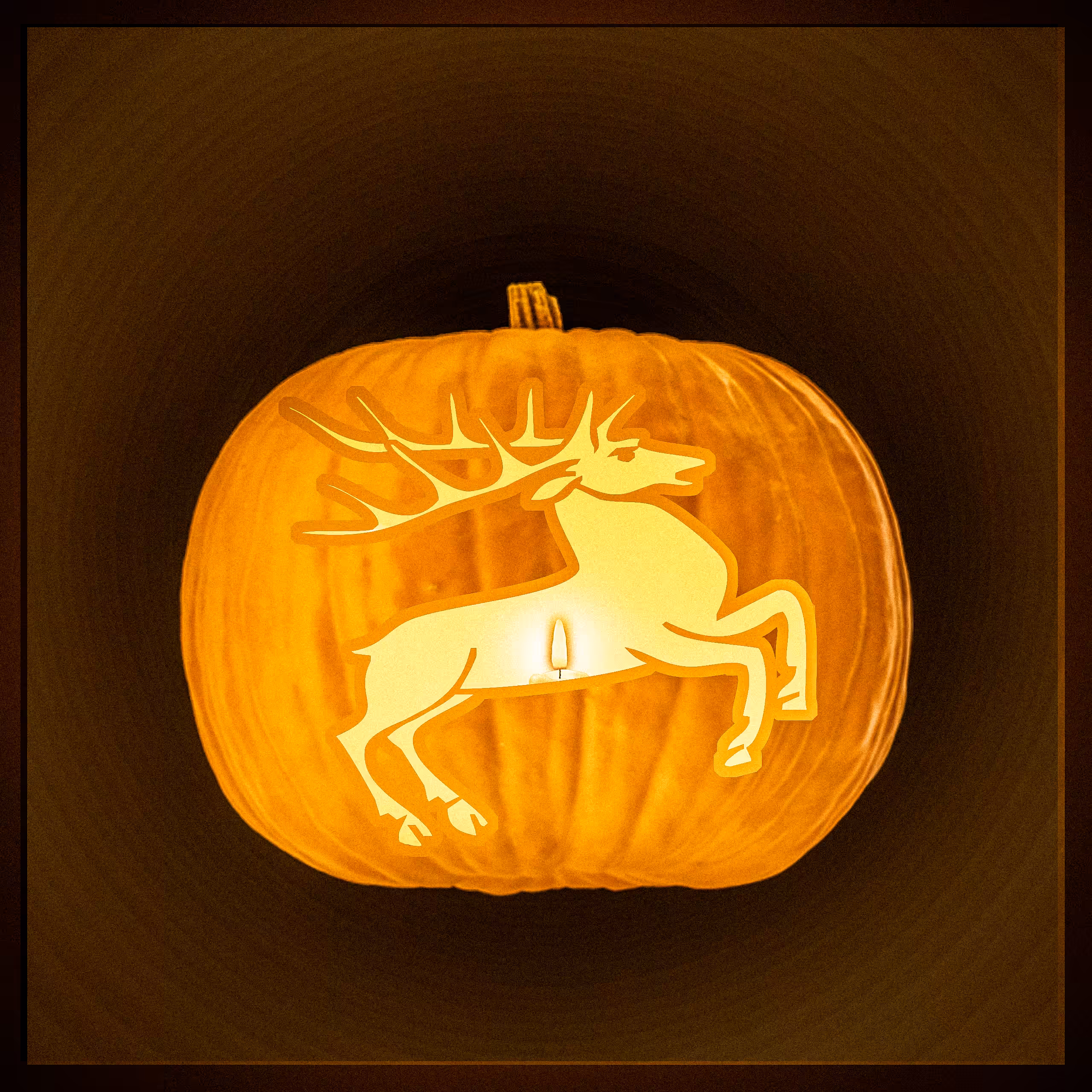 Punky Pumpkins 08 