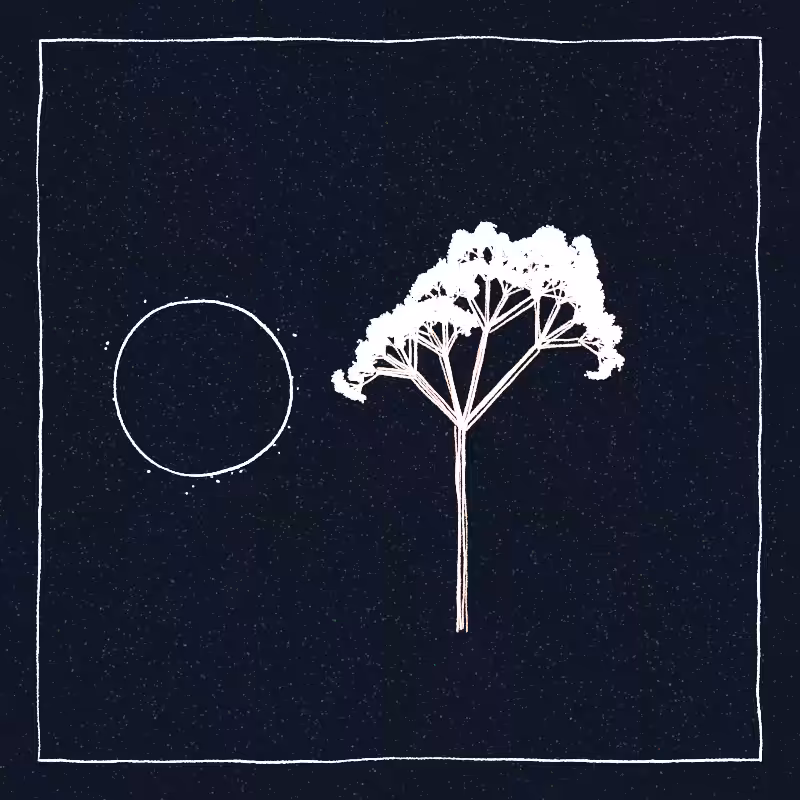 Hand-Drawn Tree #61