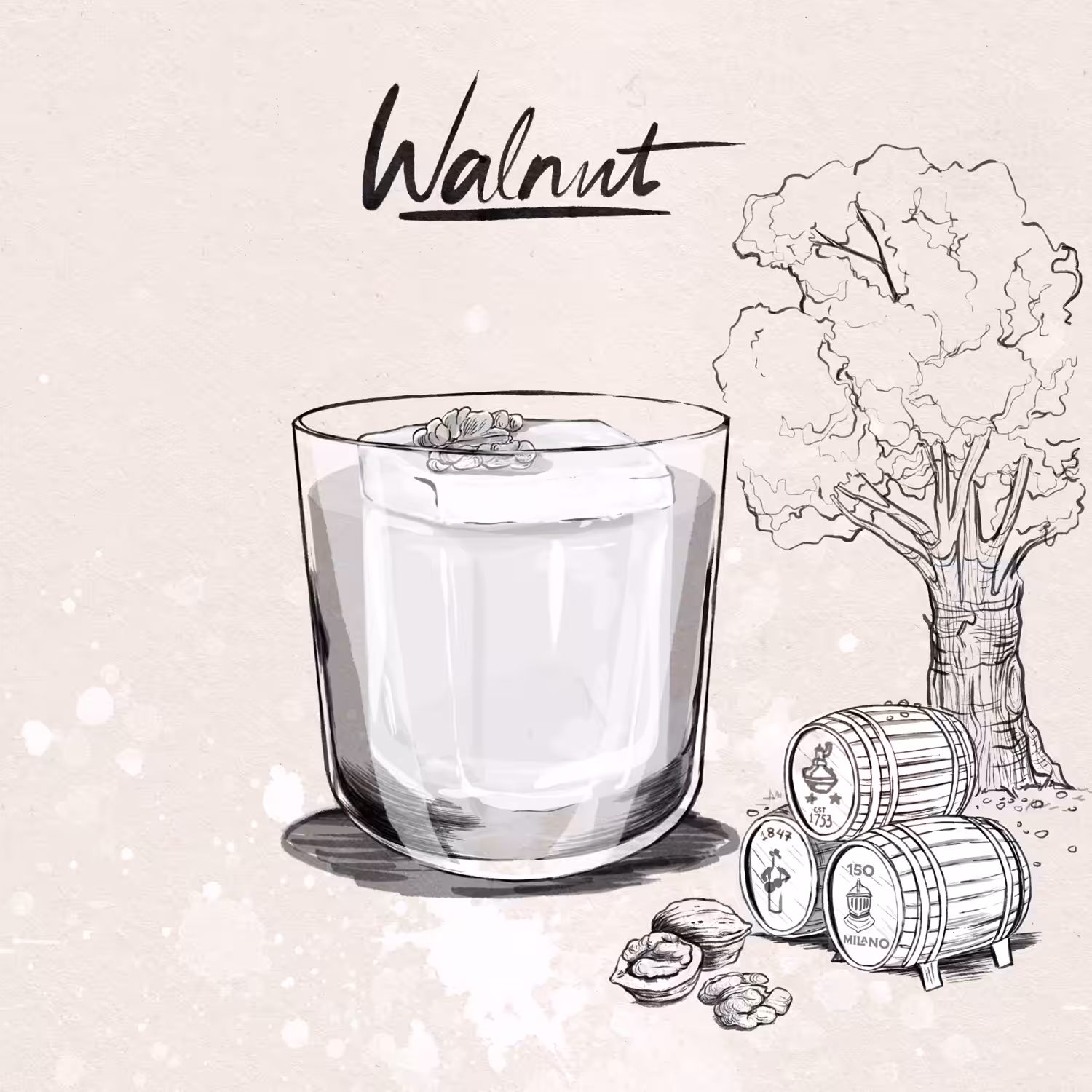 Walnut