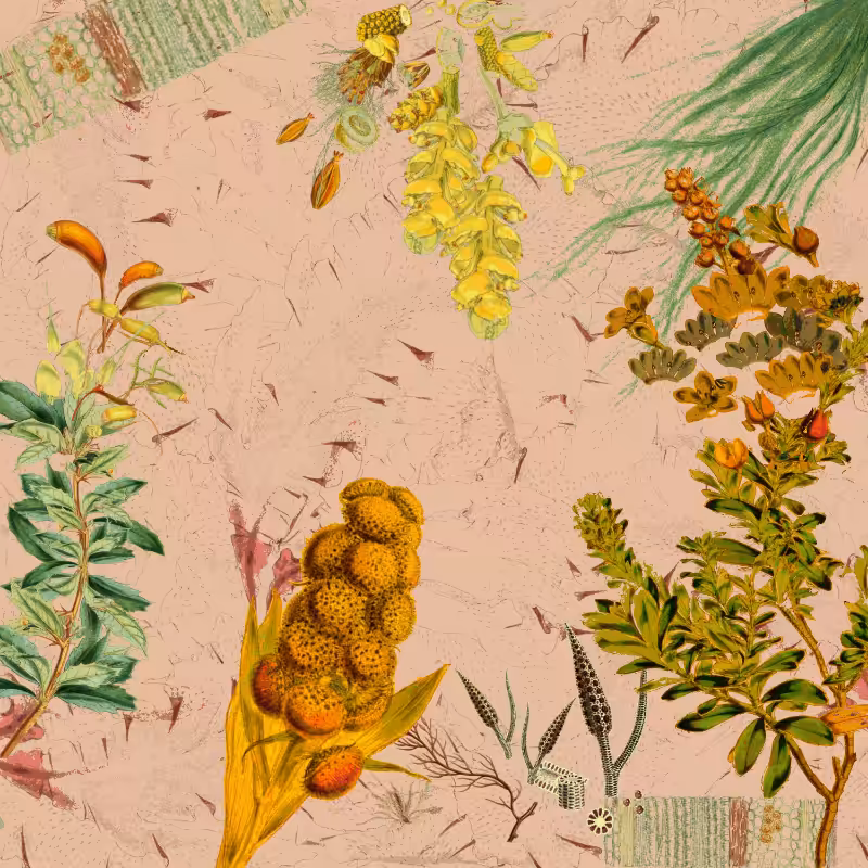 future flora from Antarctica's past #58