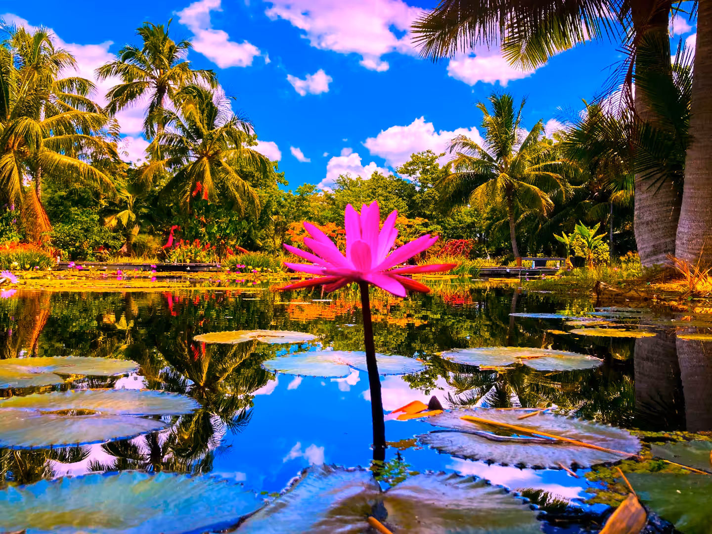 ANGEL WATER
