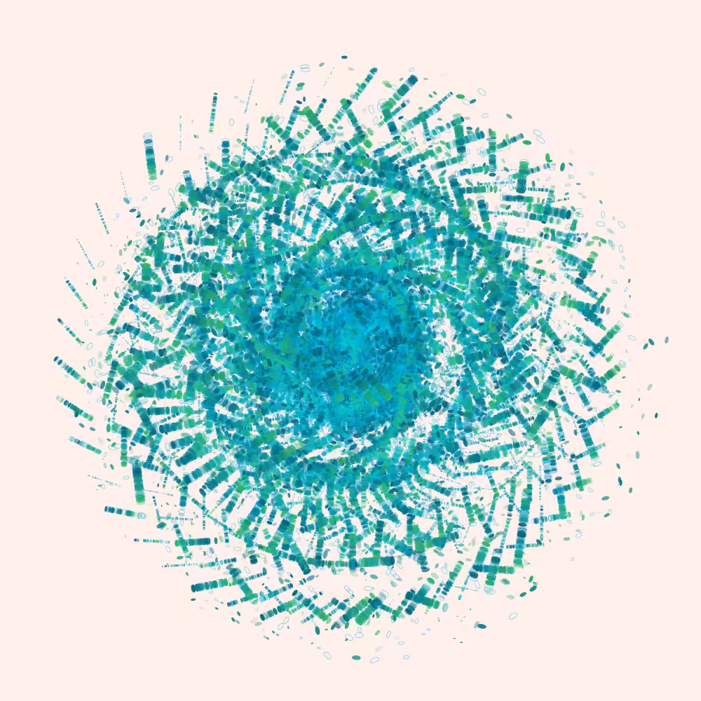 Spiral Contemplations #005