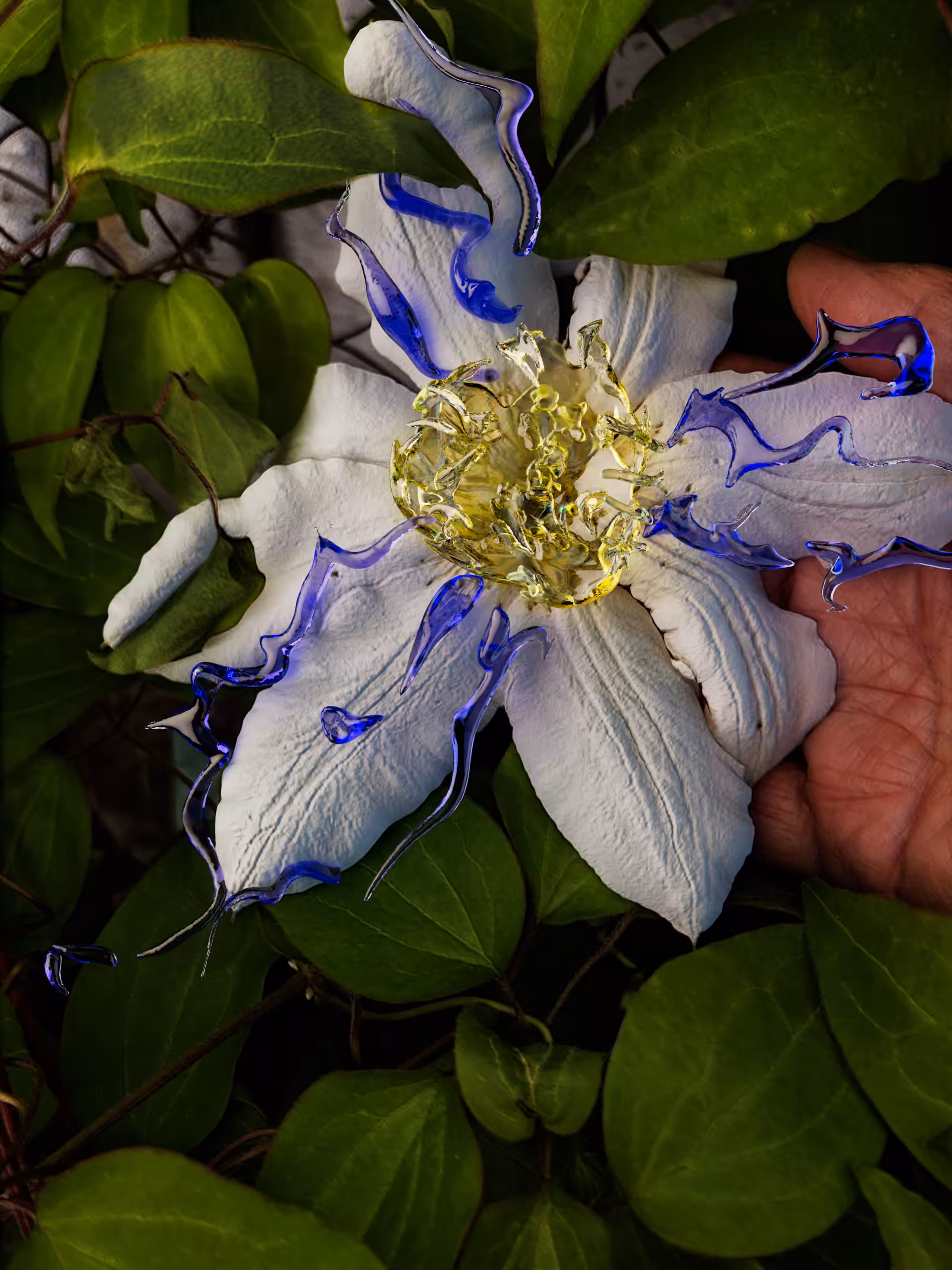 Mama`s Flower #001