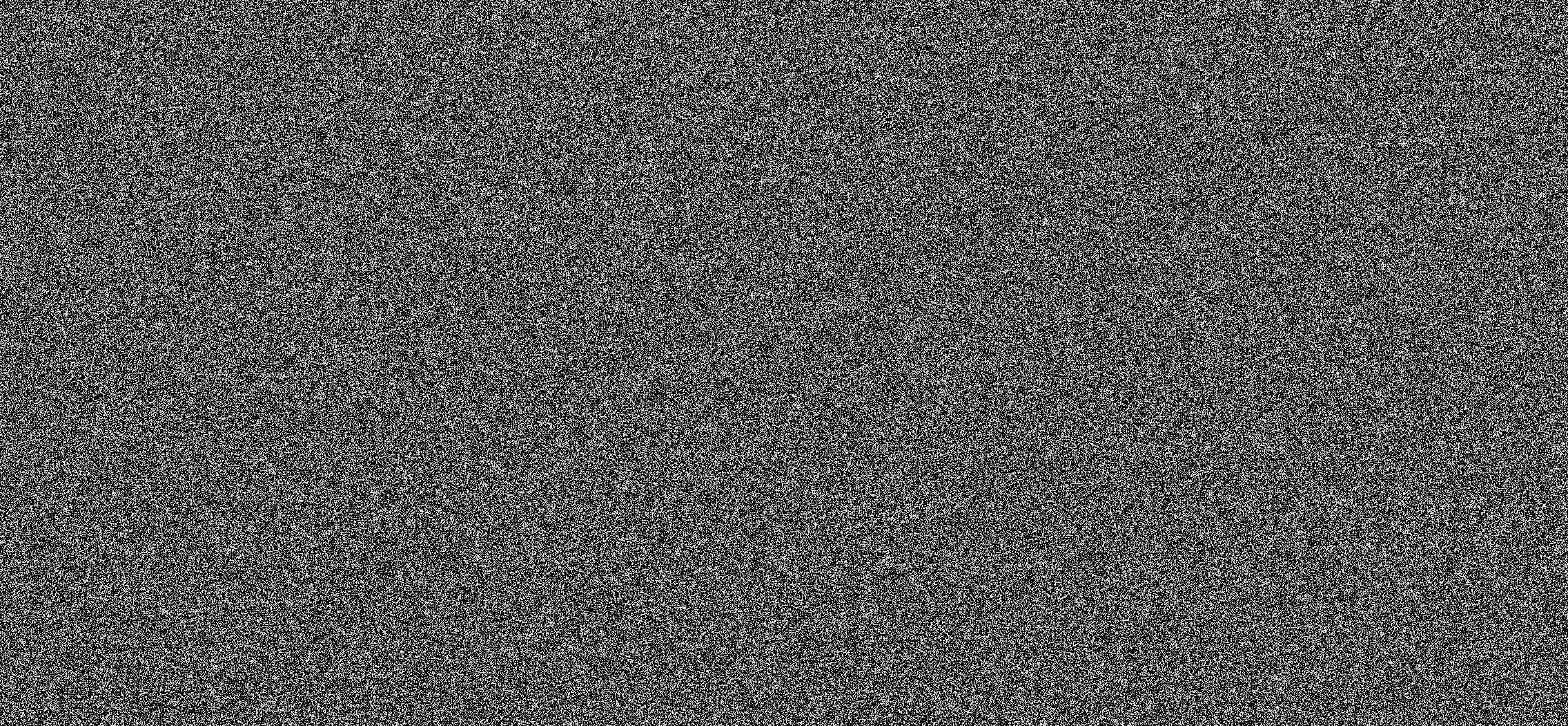 WE ARE NOISE