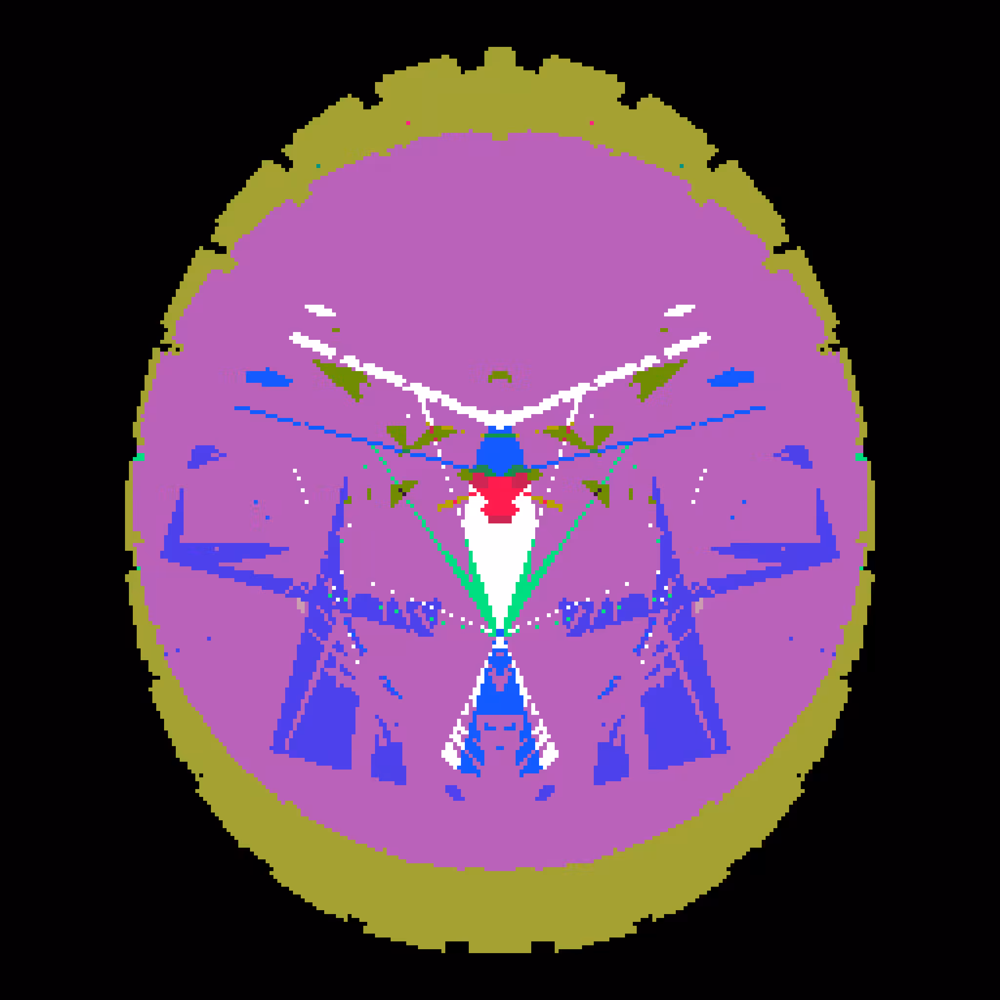 Ideocartography: Planar Slicing Experiment #156