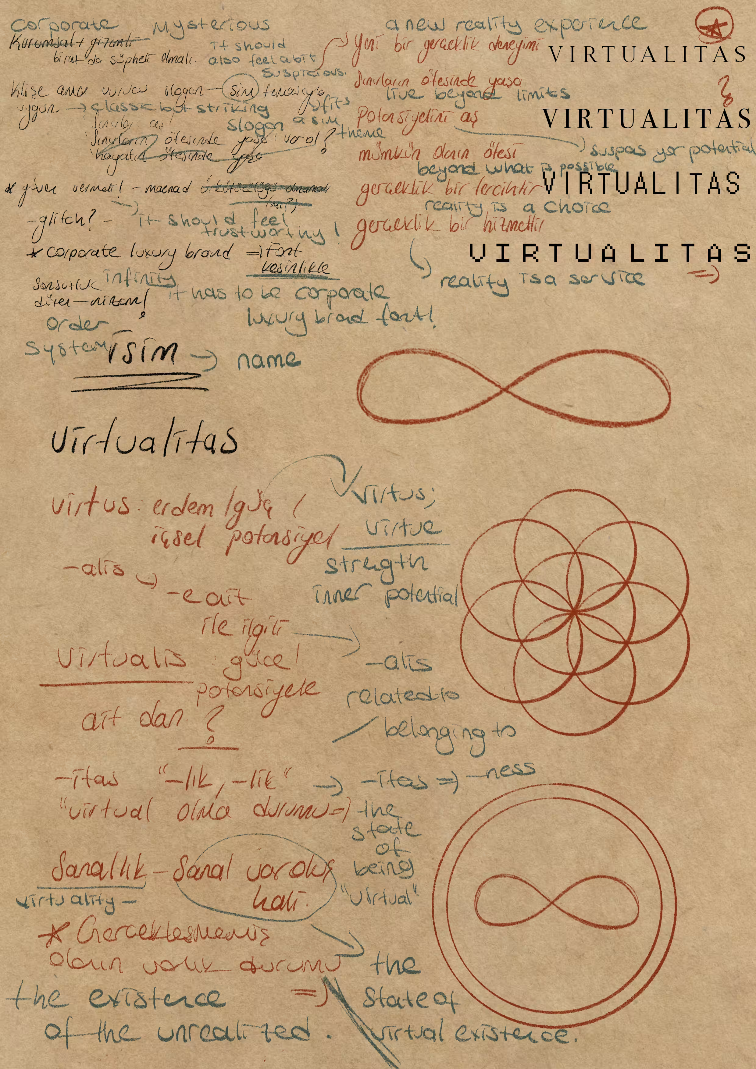 log_0001 // virtualitas_identity