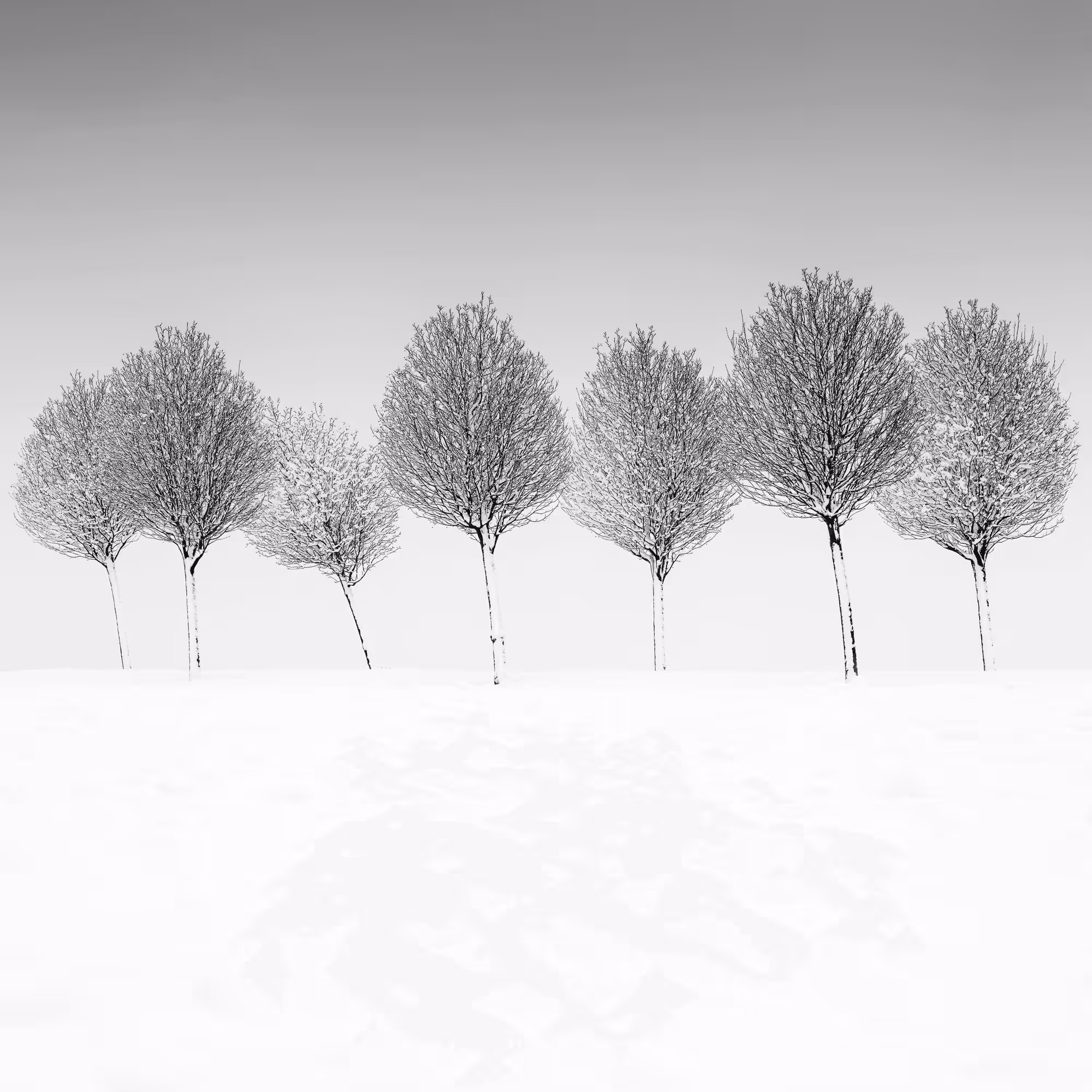 Sound of Silence #8