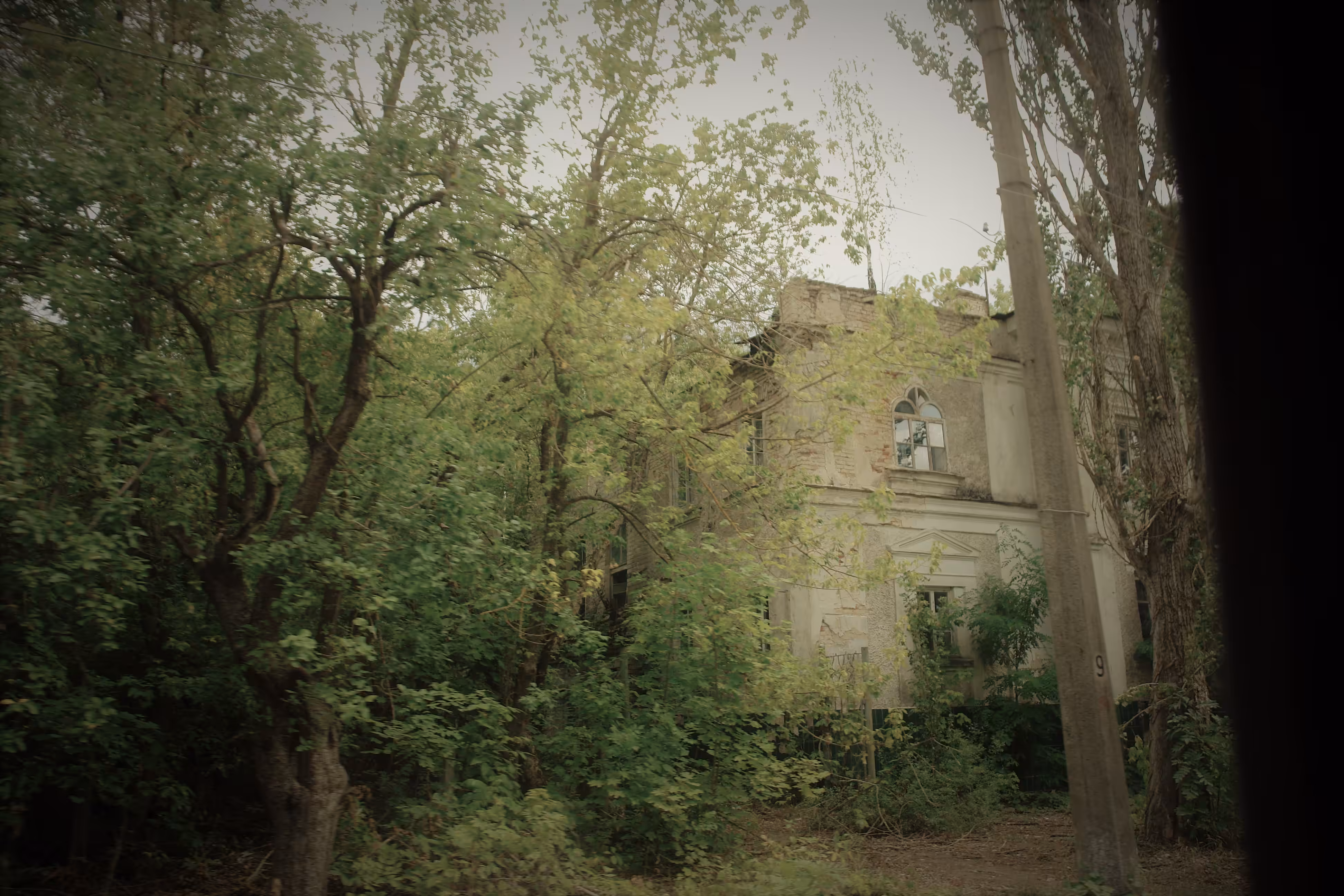 Photographic details (2)
