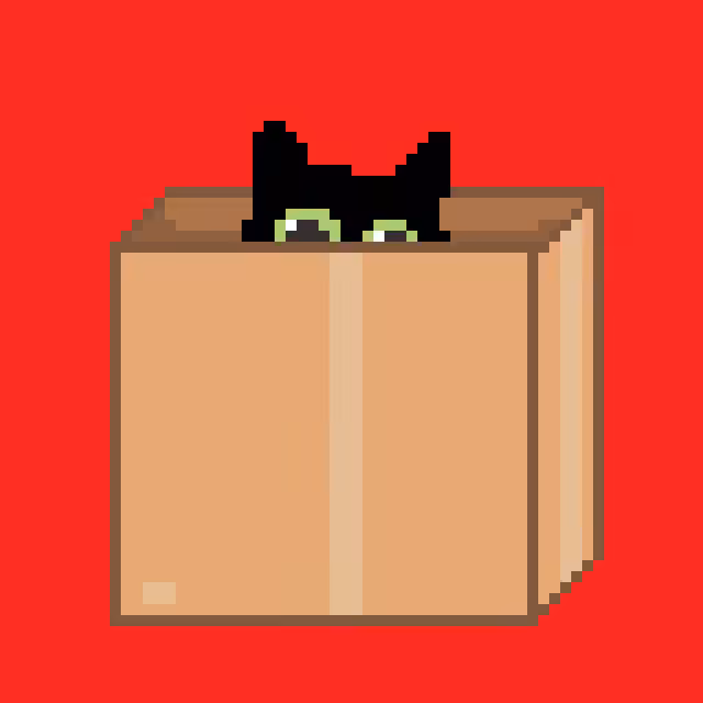 cat box 11