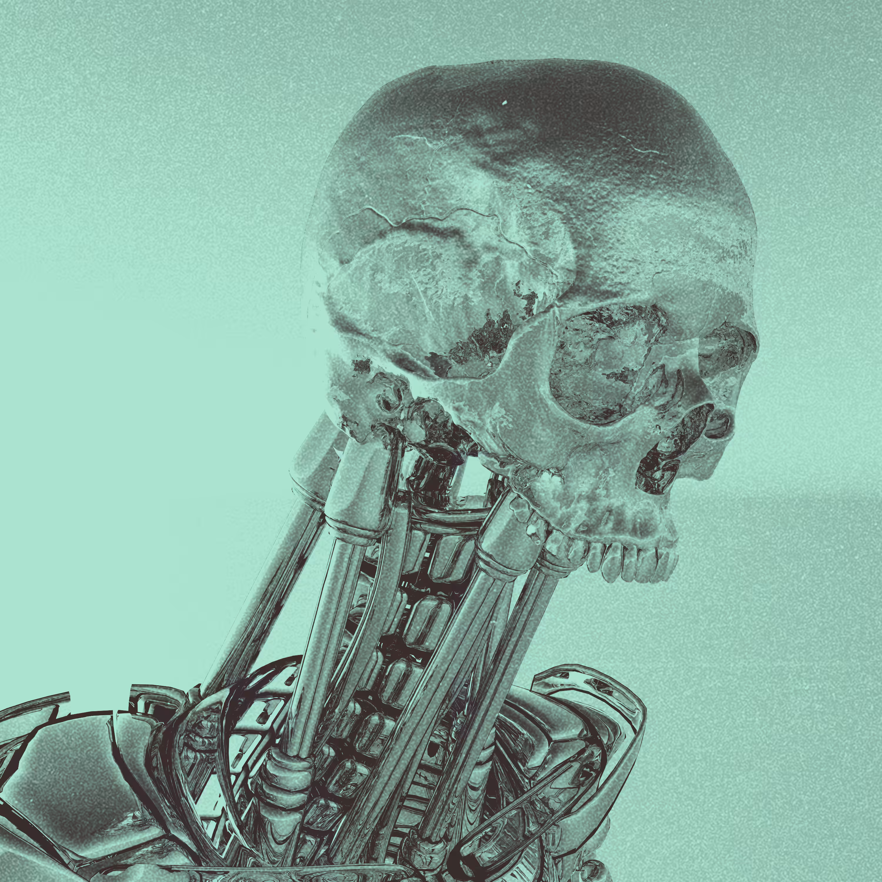Digital Demise®