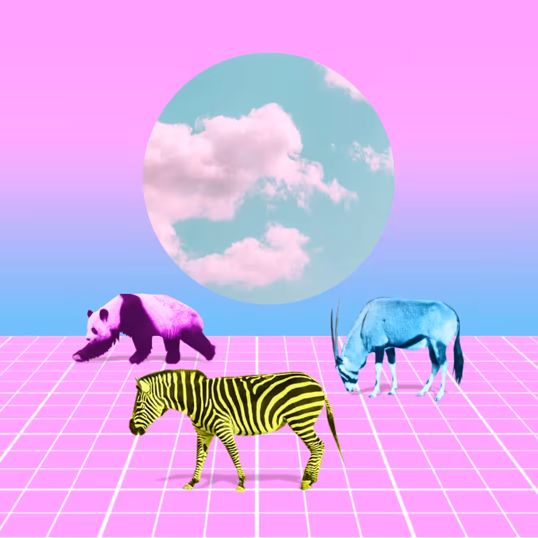 Metasafari