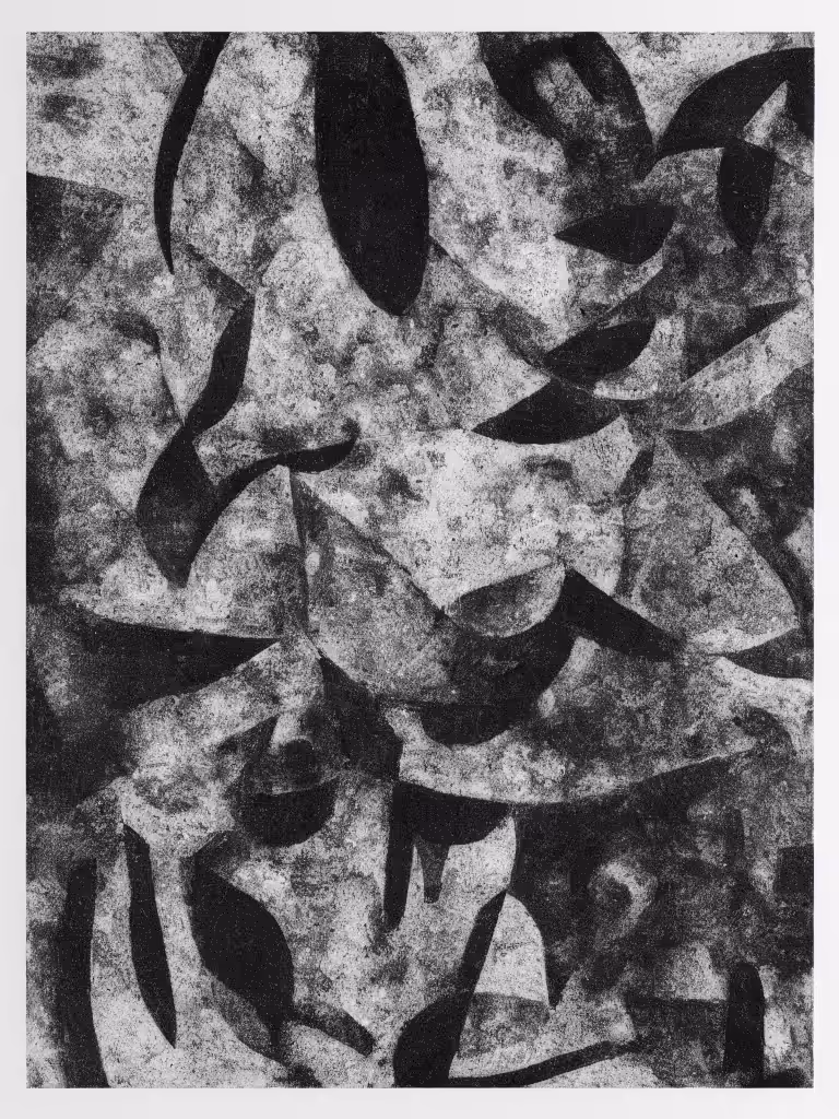 Found Images II #18