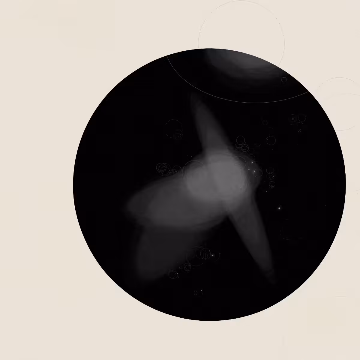 SYSTEMS #243