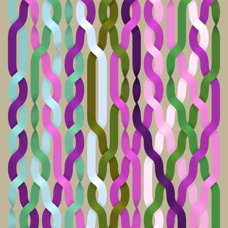 Endless Braids #16