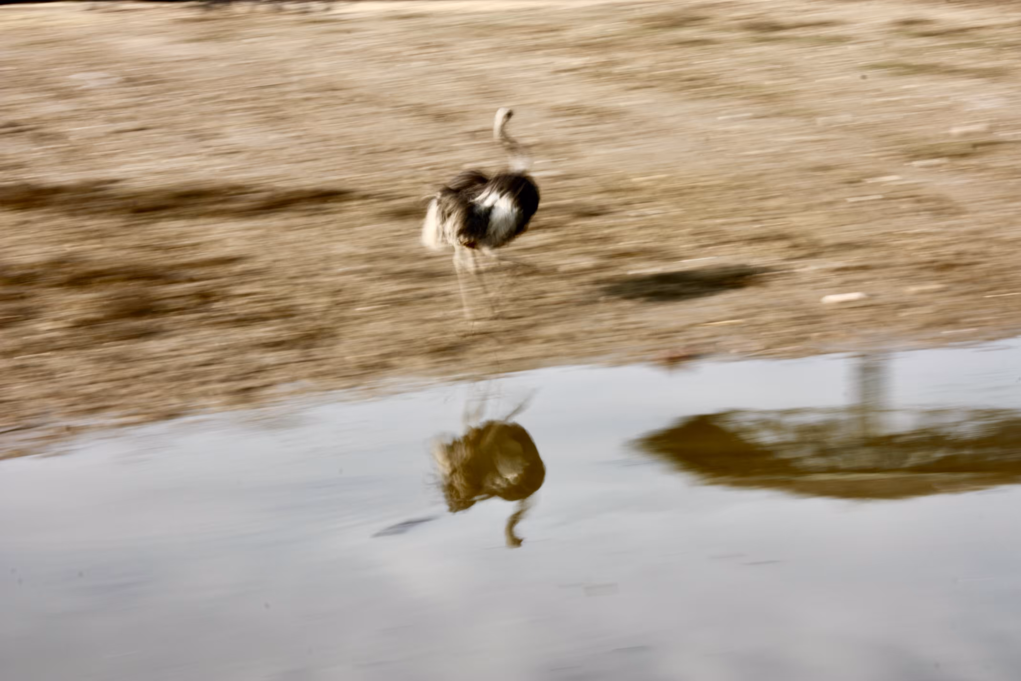 Time to run