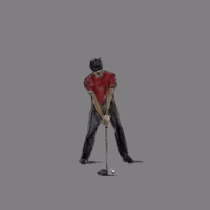 tiger woods