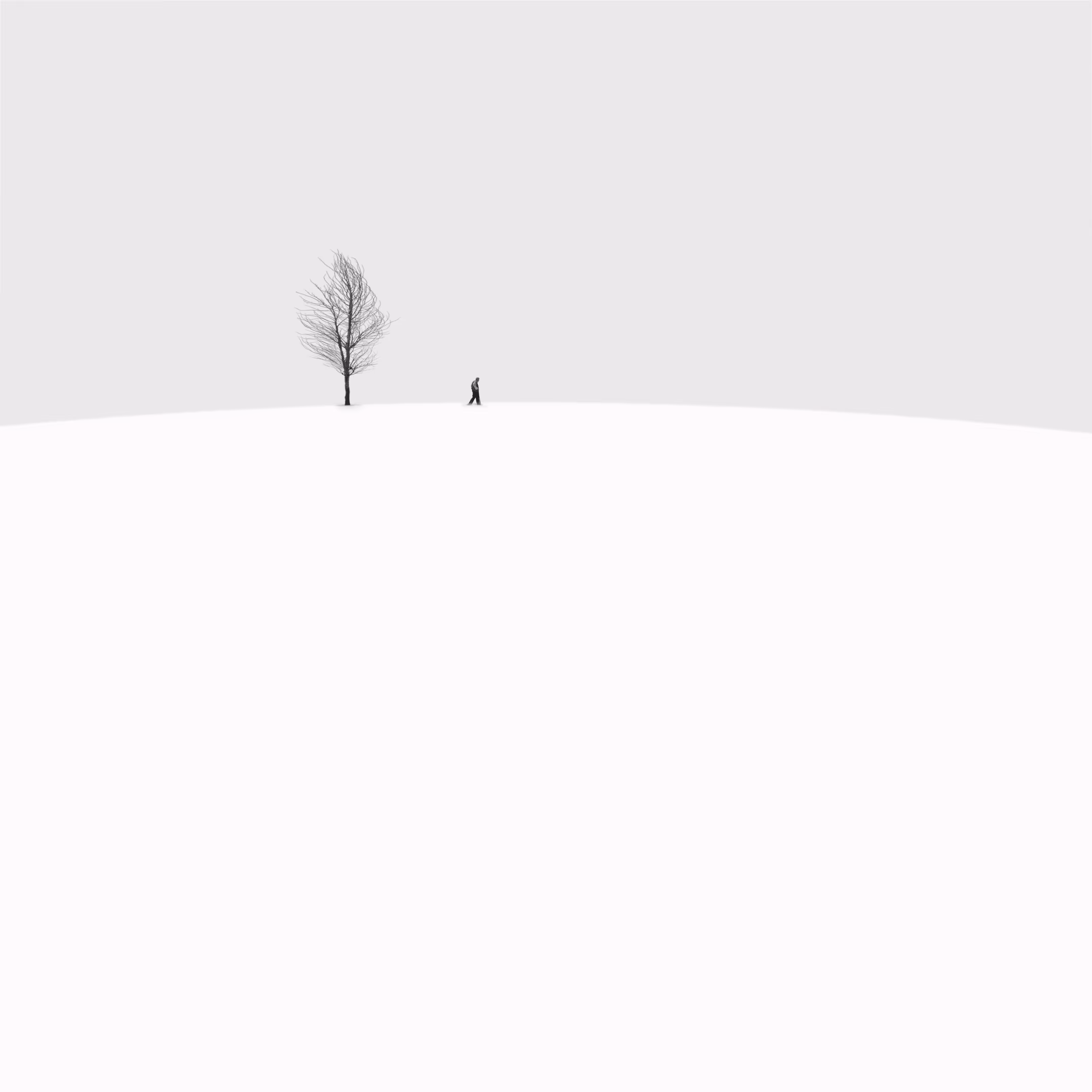 Alone Passenger