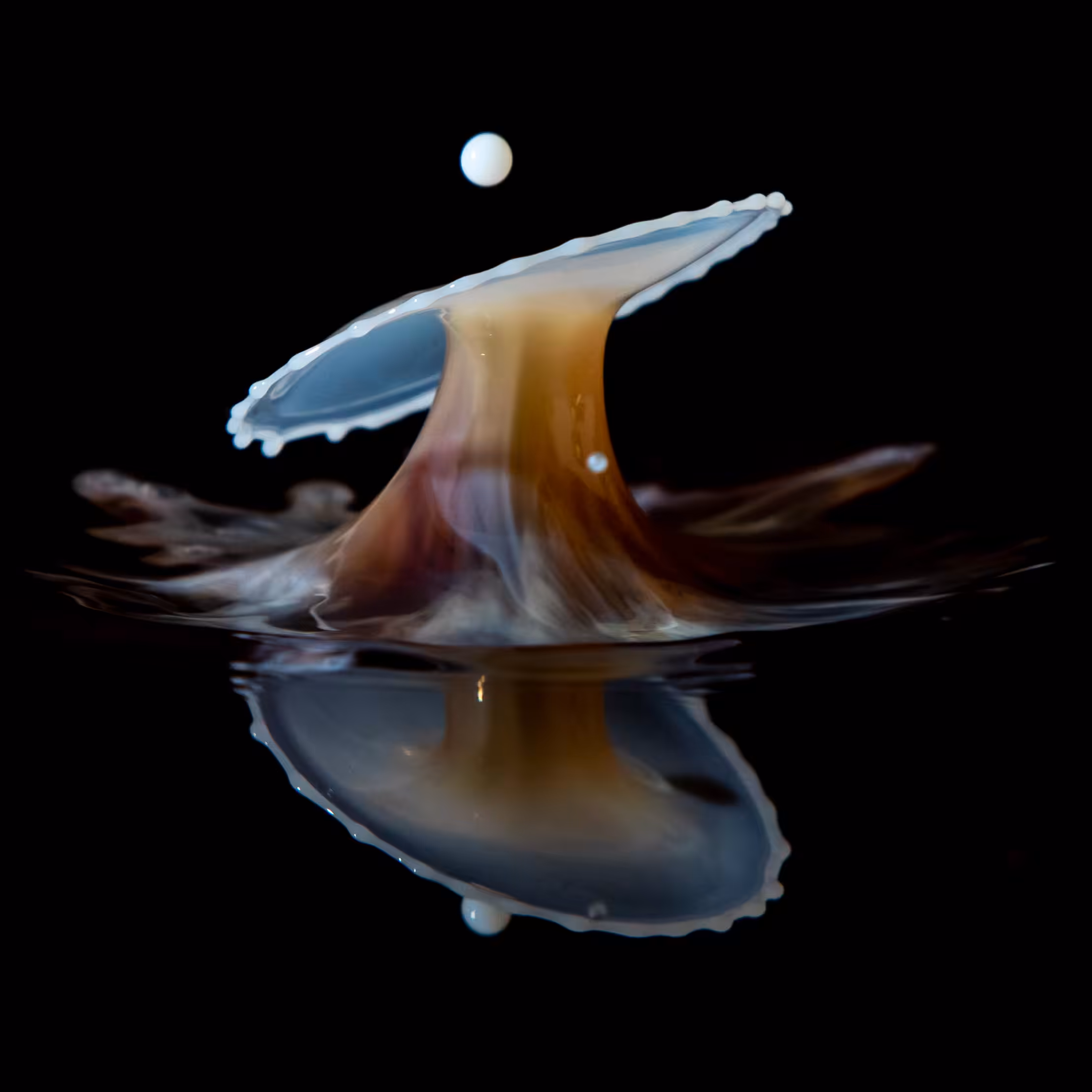 Drip-Drop-Plop-Clam