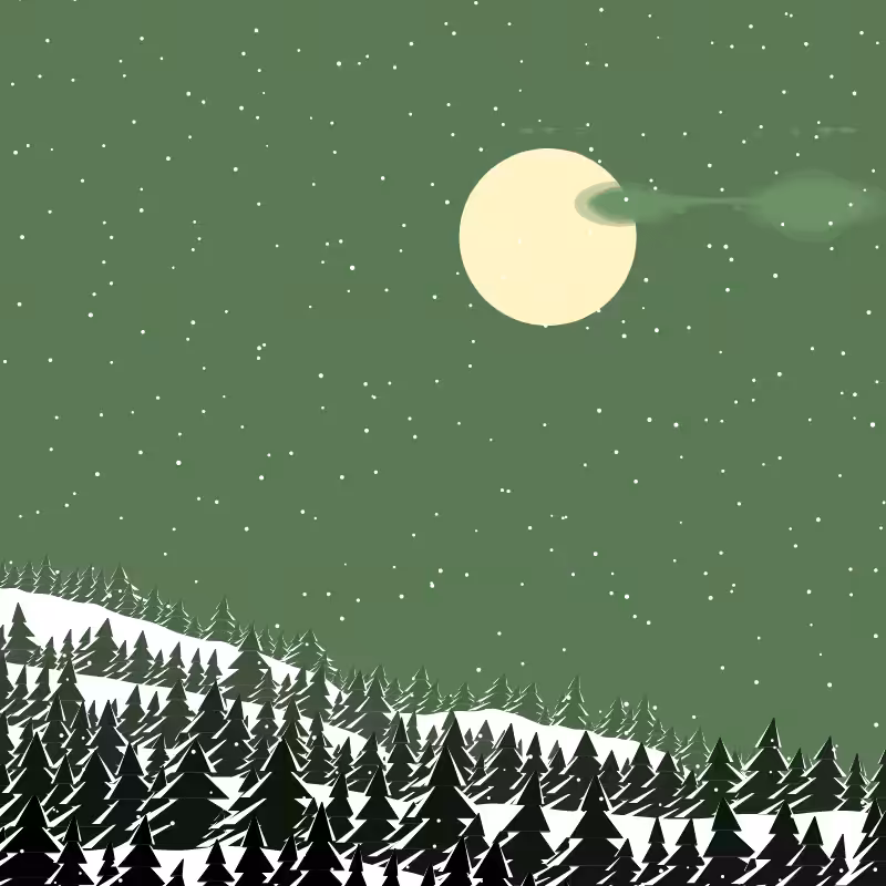 Winterland #26