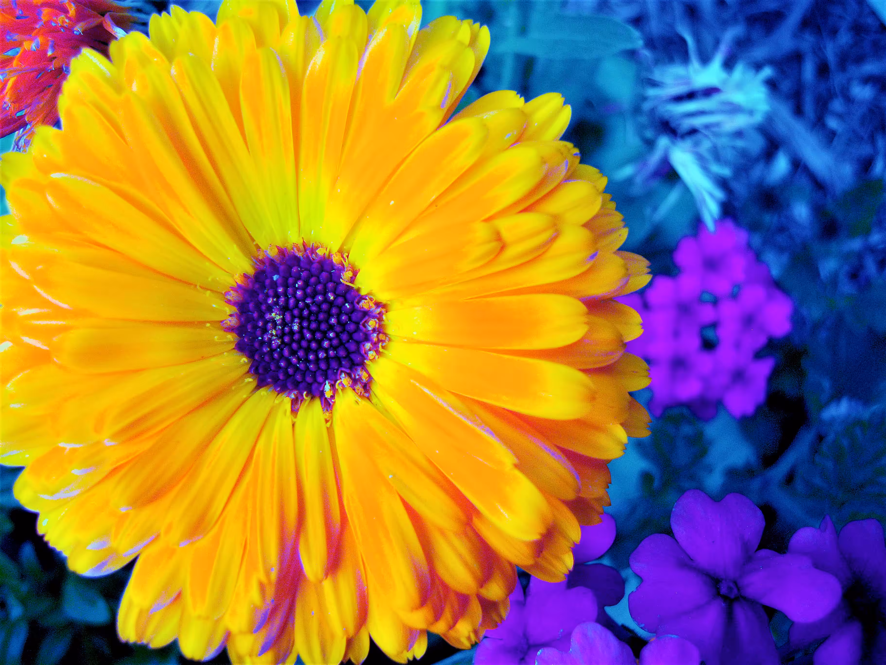 Flower Power Trip #21