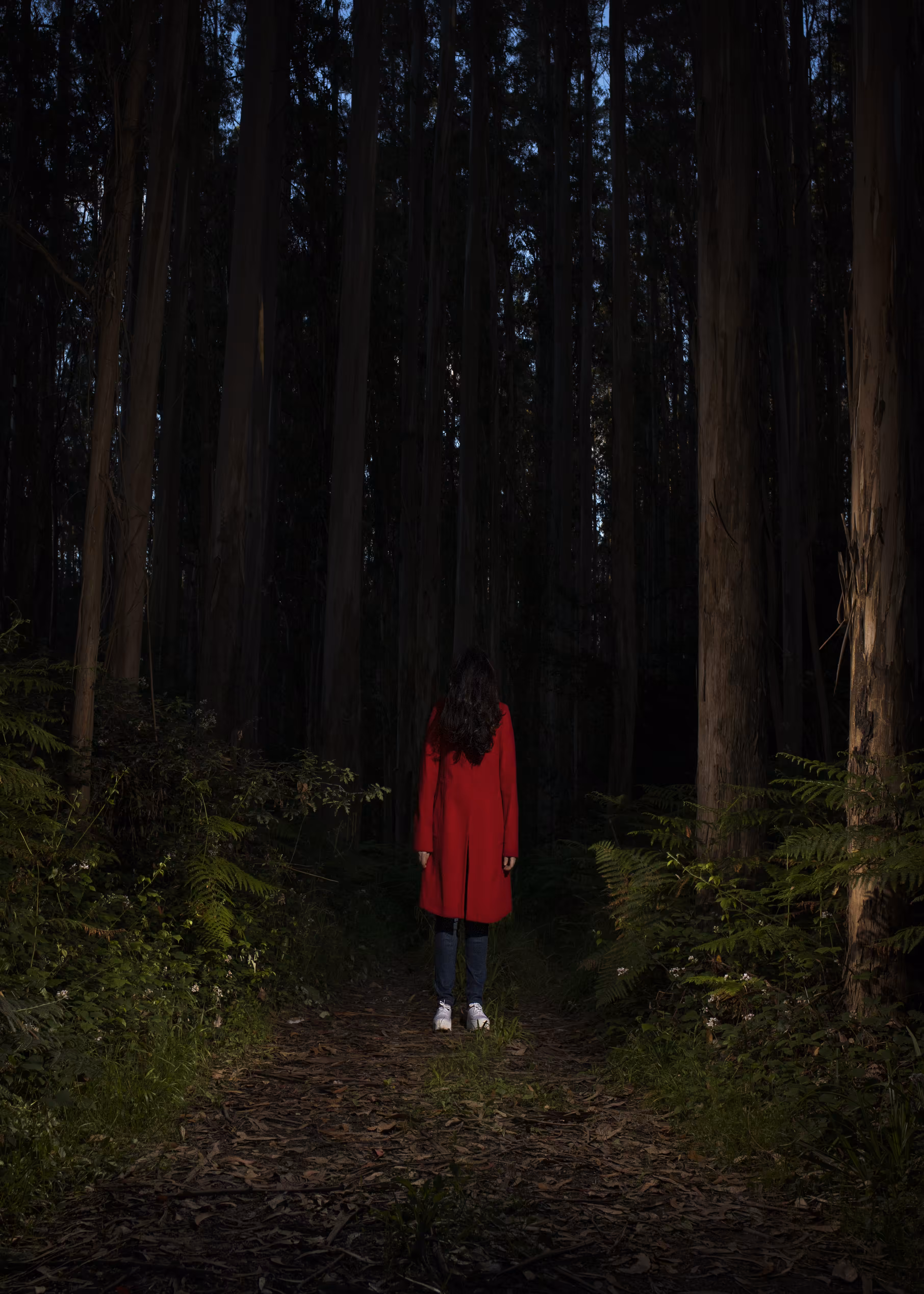 Little Red Riding Hood II