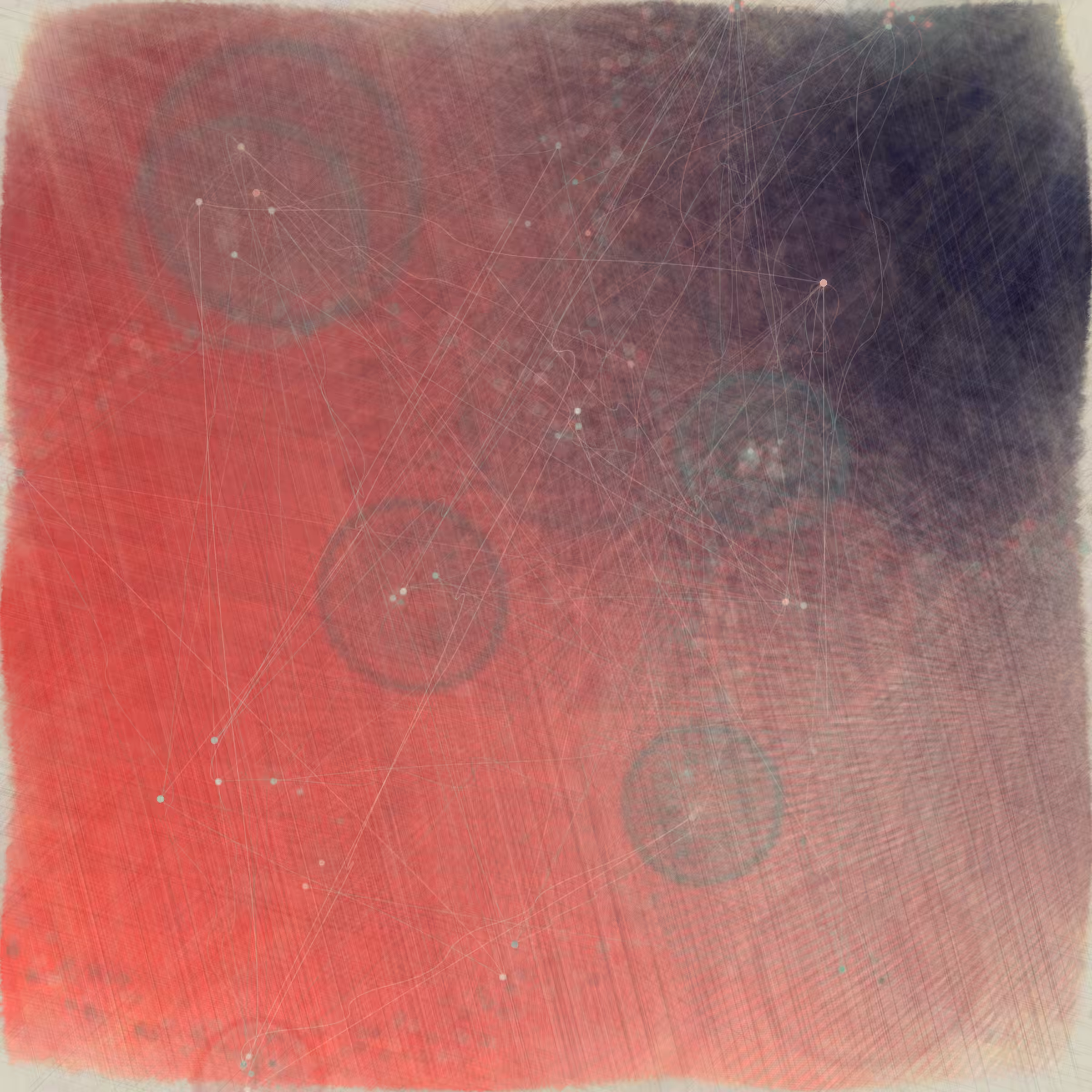 Reticulum