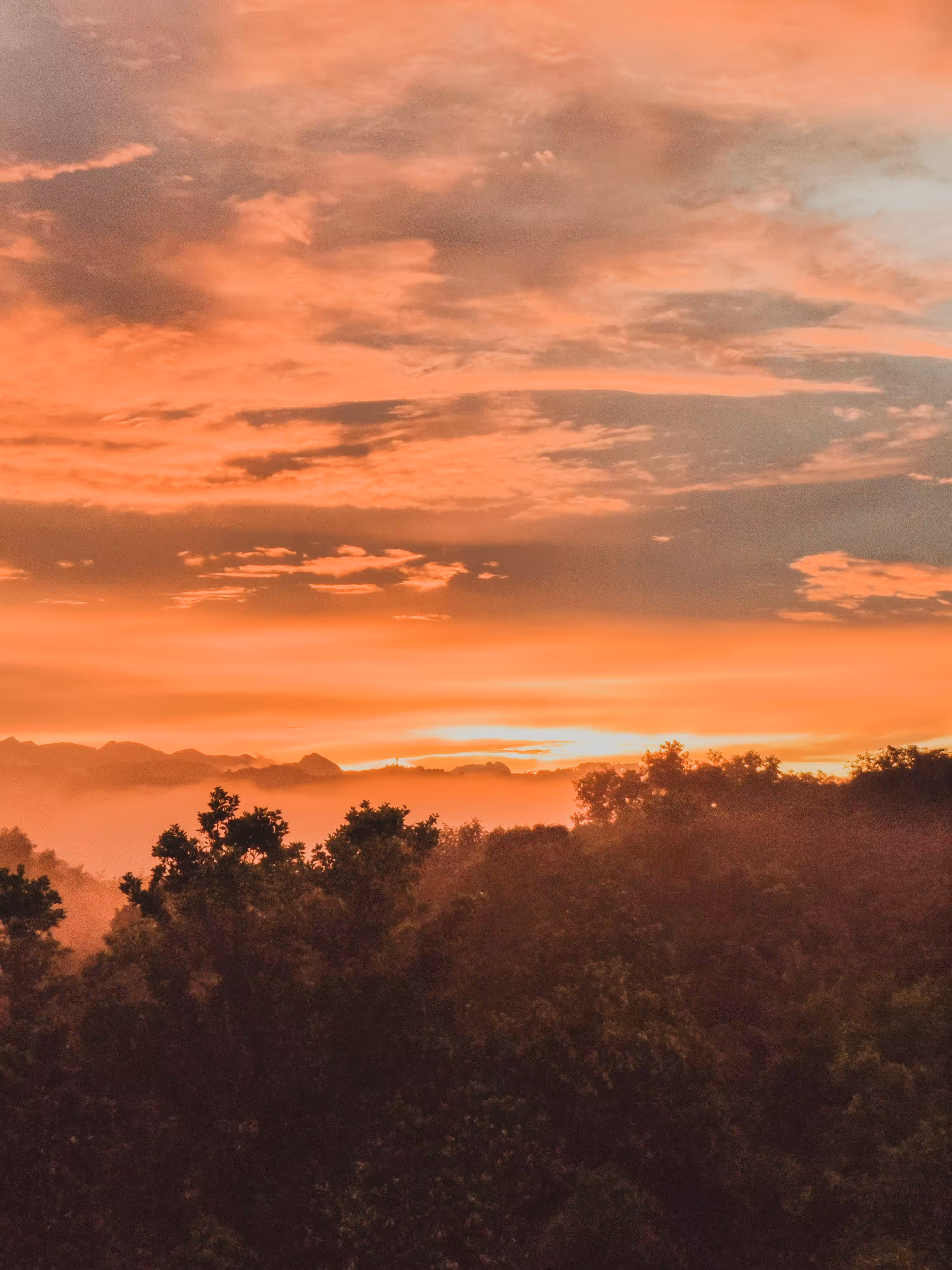 mystic mornings