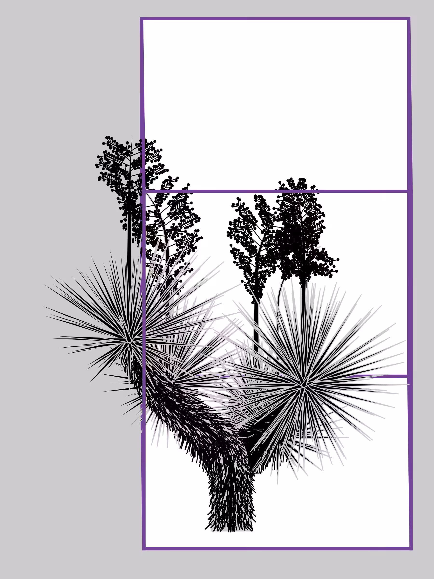 Marfa Yucca #220