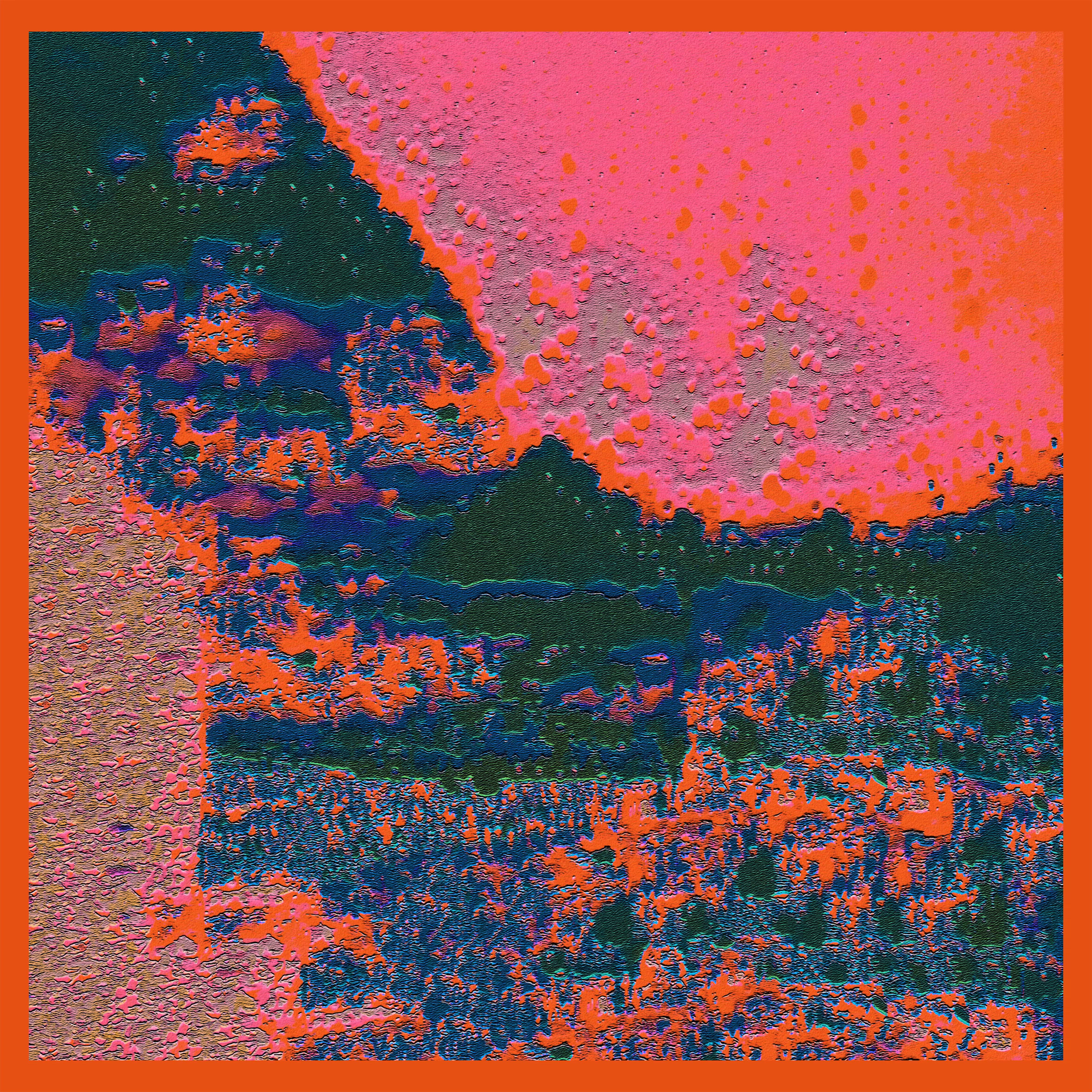 Wildflowers LXXIV