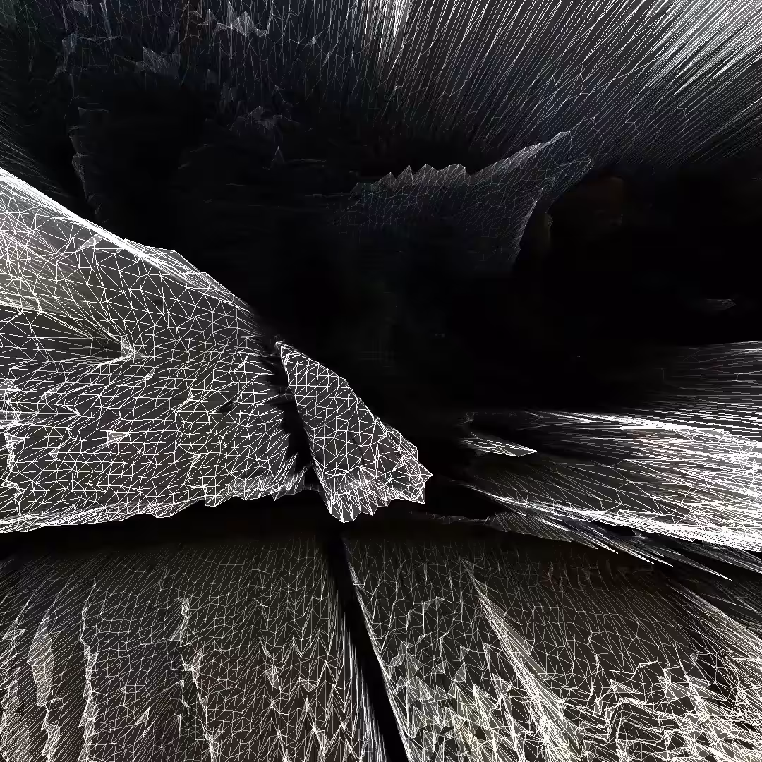 Cat Mesh