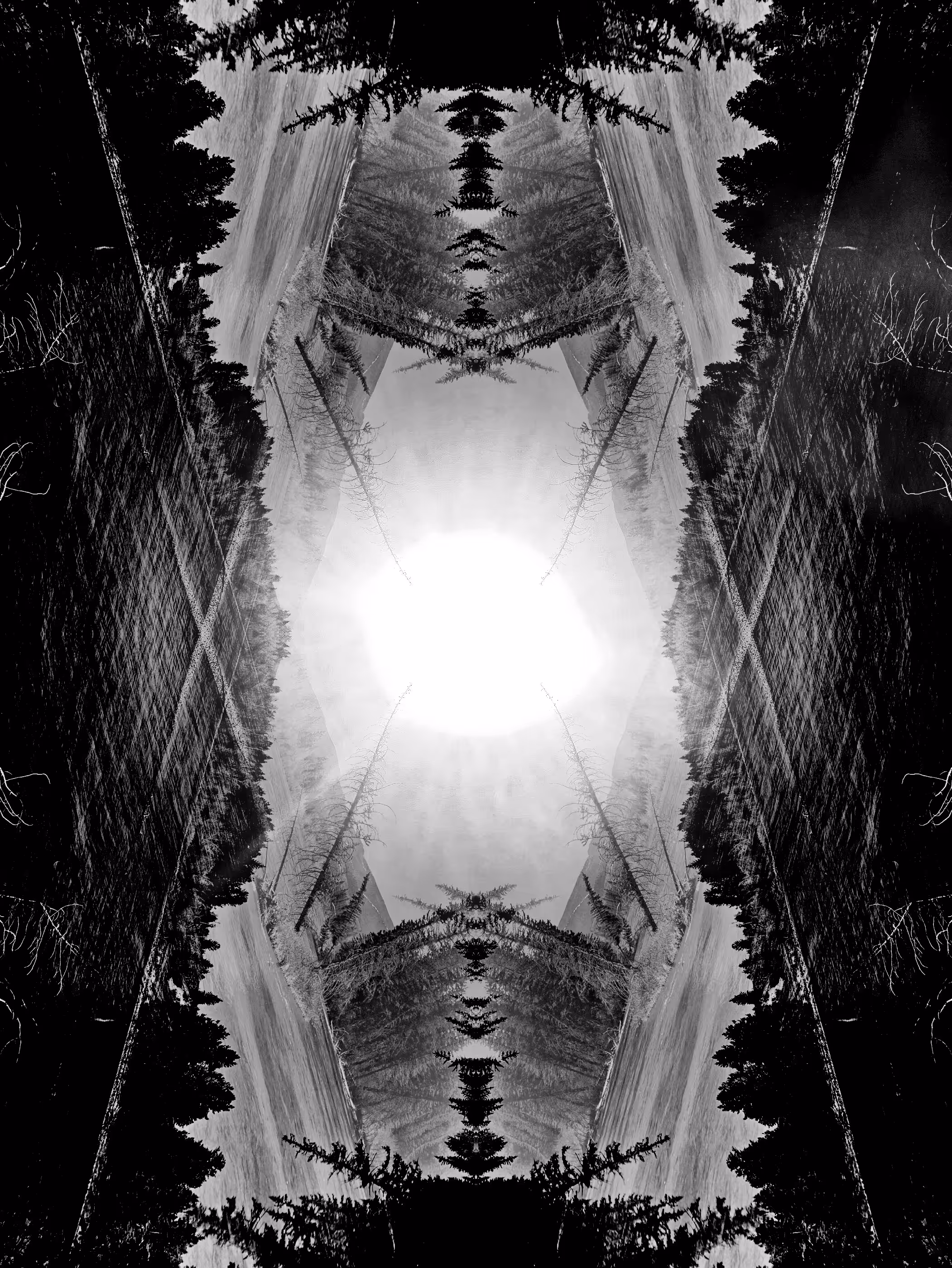 From the Dark