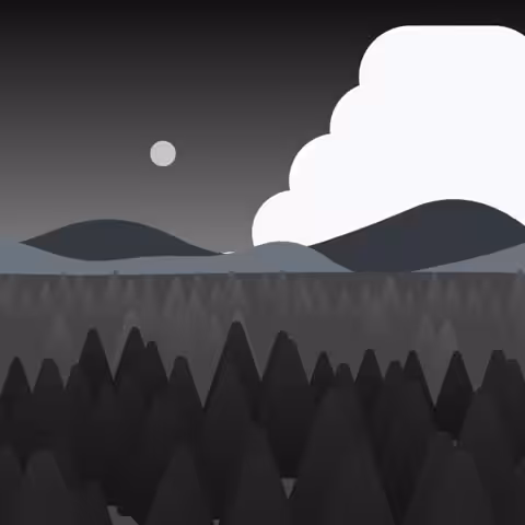Night Forest