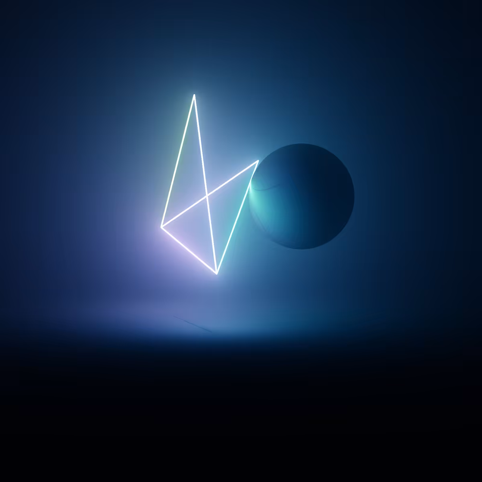 Wandering Nets Redux #41