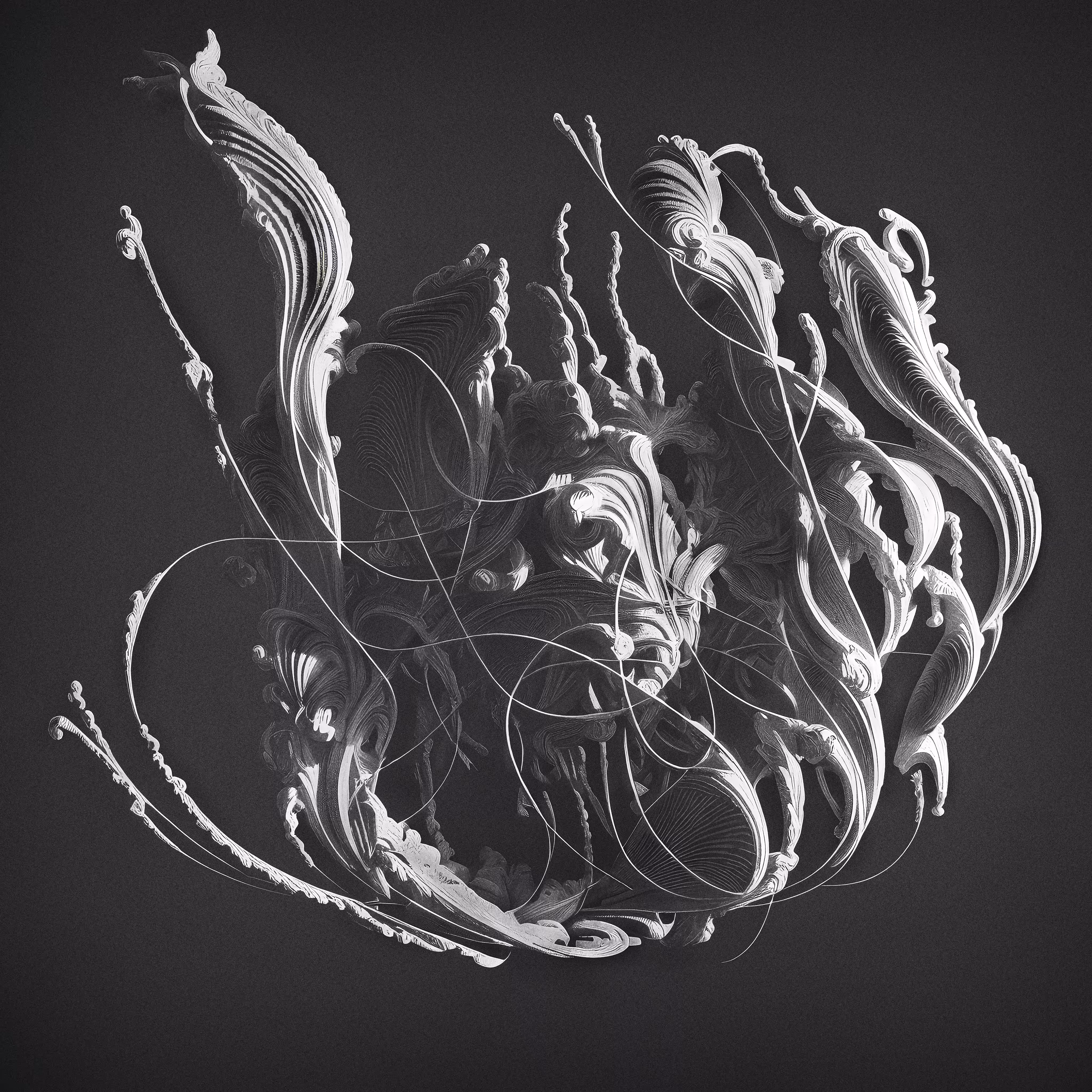 Asymmetry - The Bloom