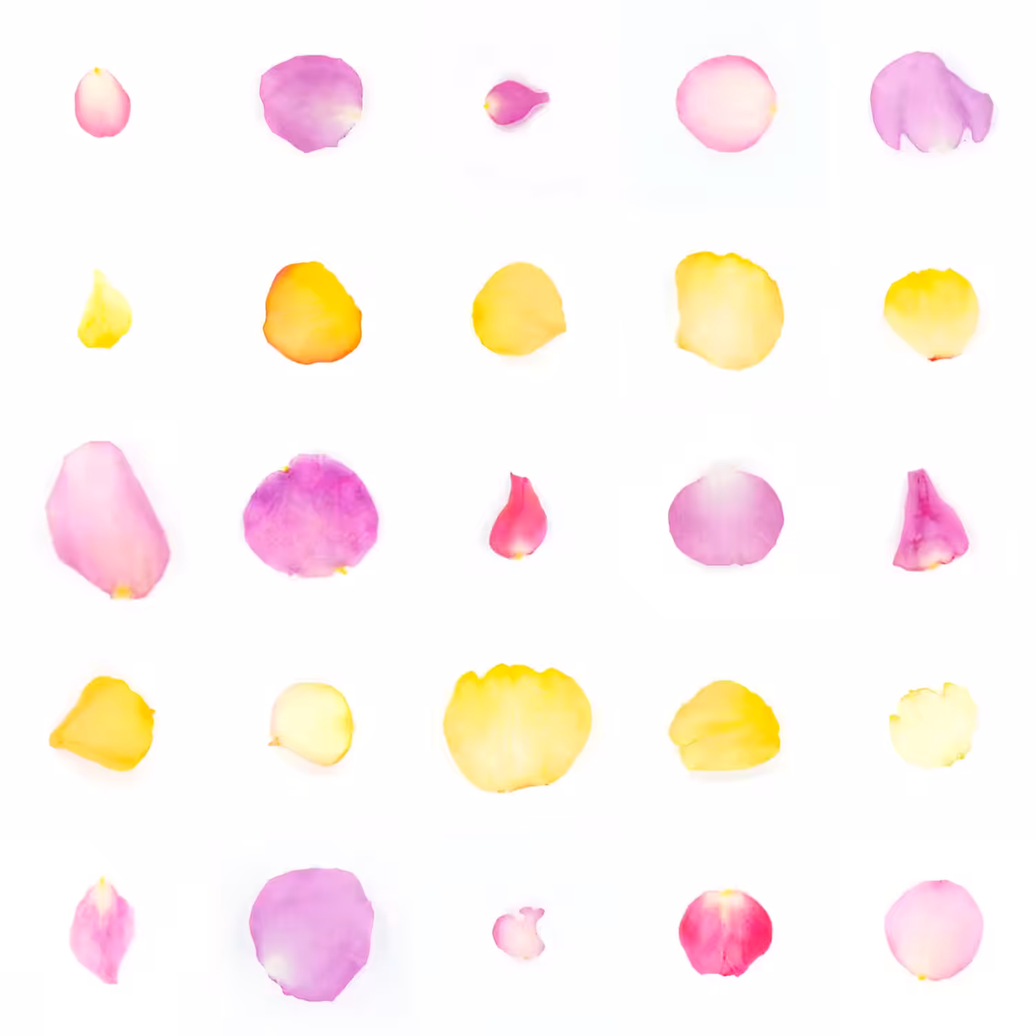 Infinite Petals 5x5#21090