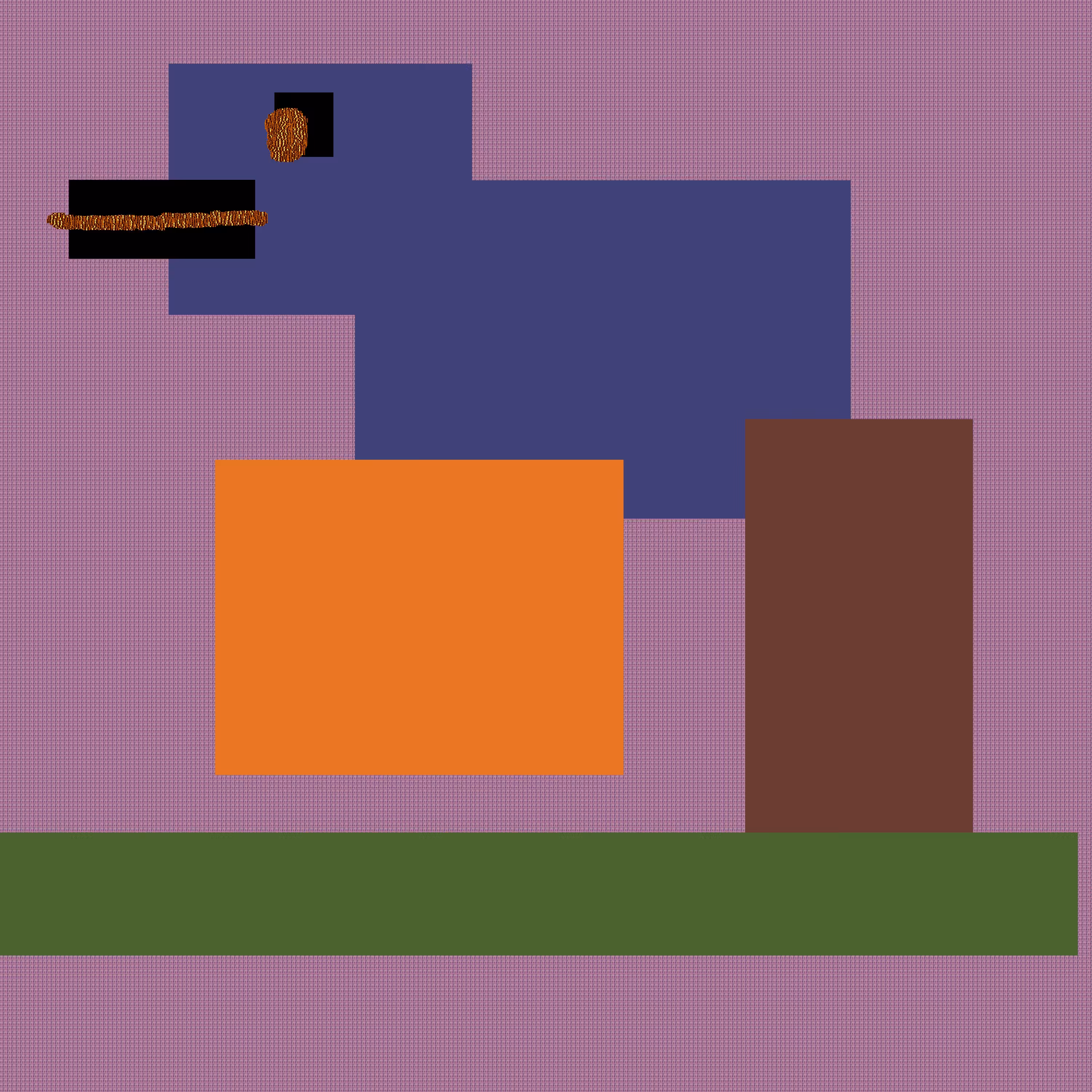 duck