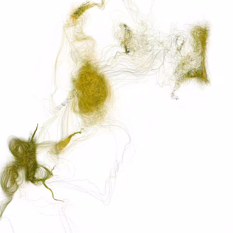 Hypericum #131