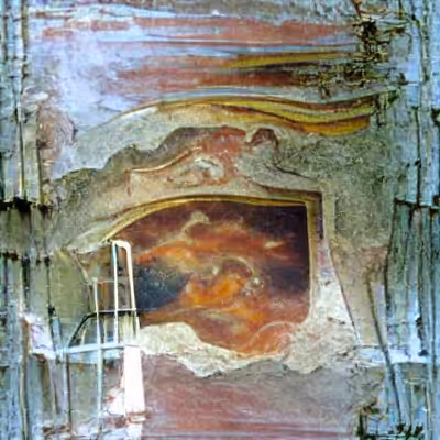 fresco_001-0021.glb