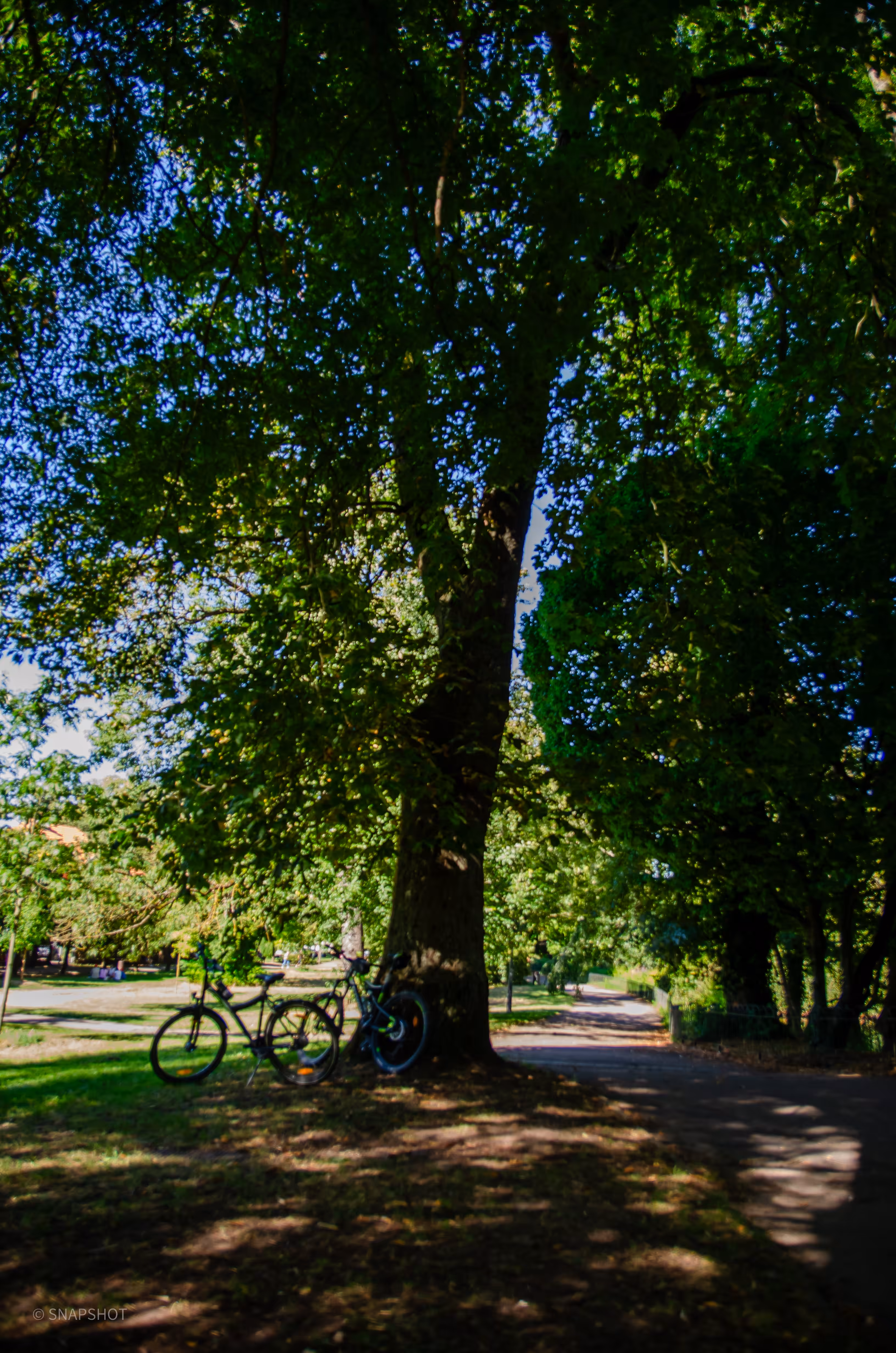 BALADE: In the shade