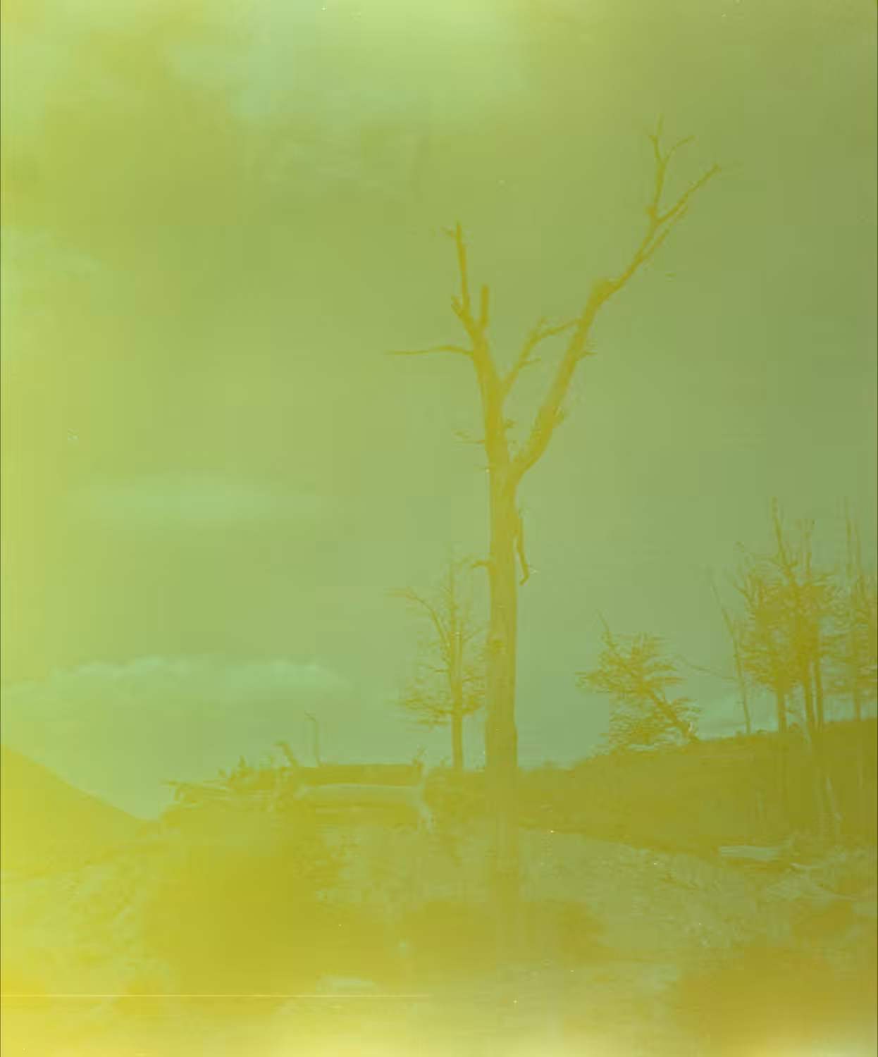 Atomic Bomb