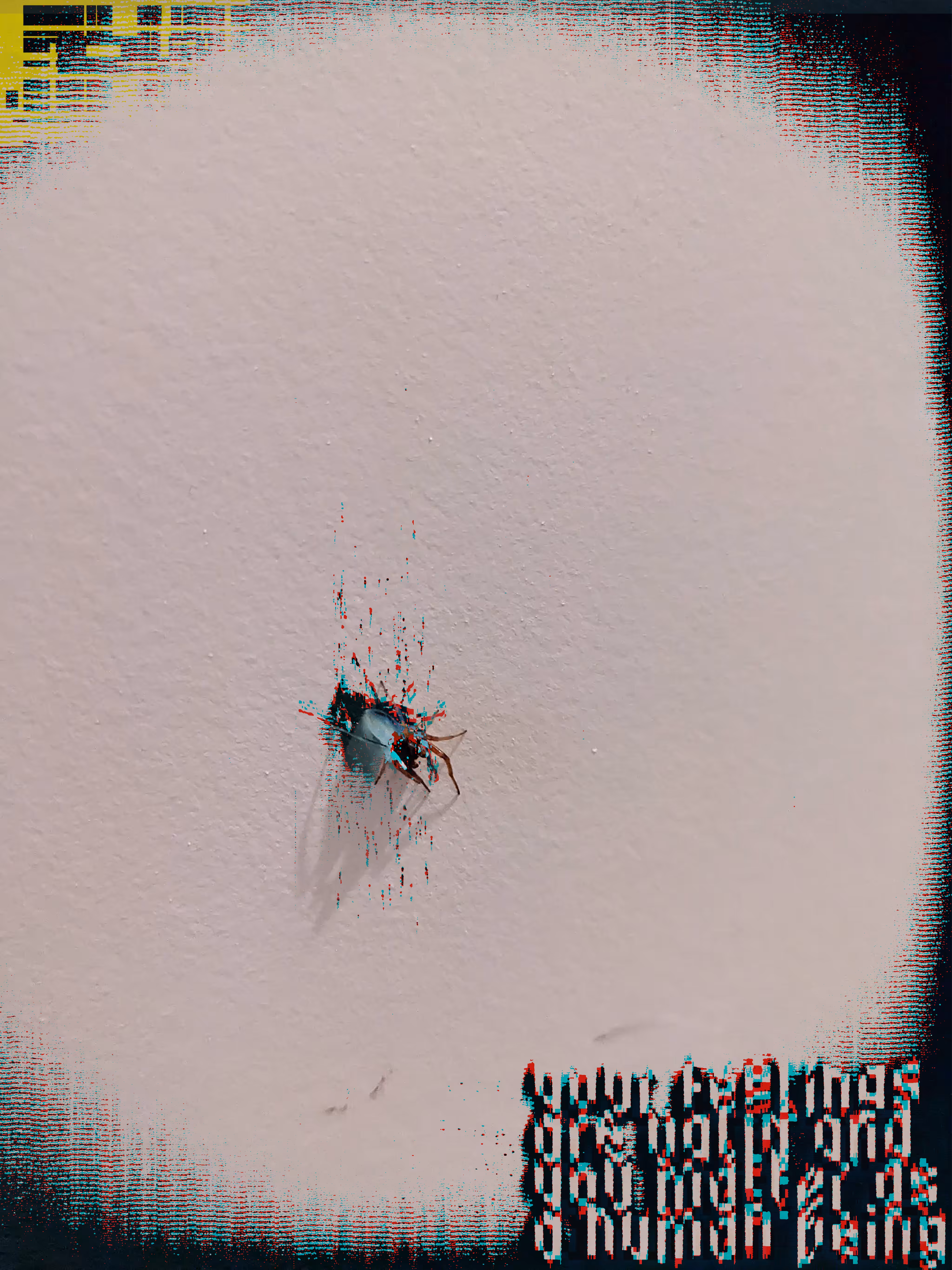 [spider.words]