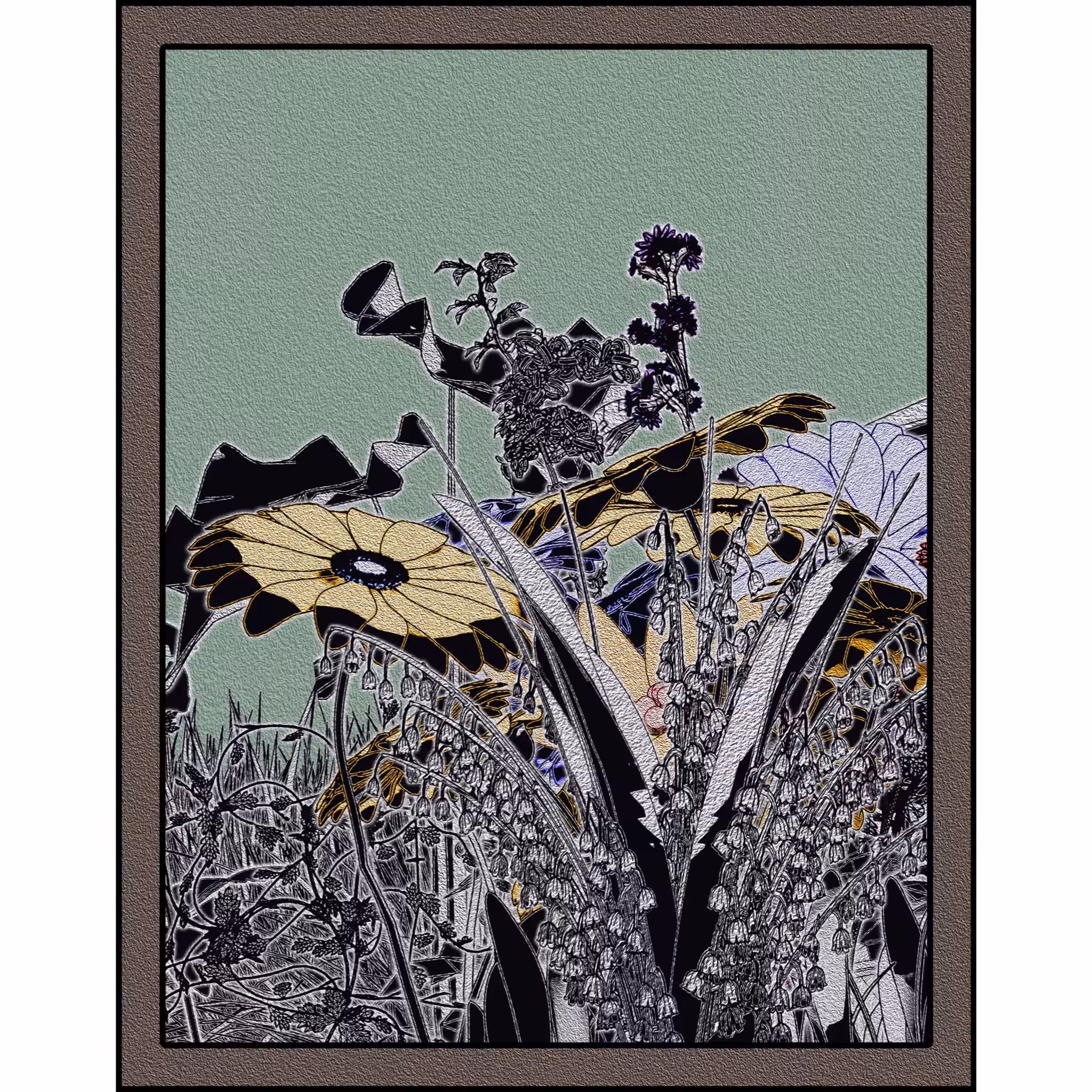 Flower View #47