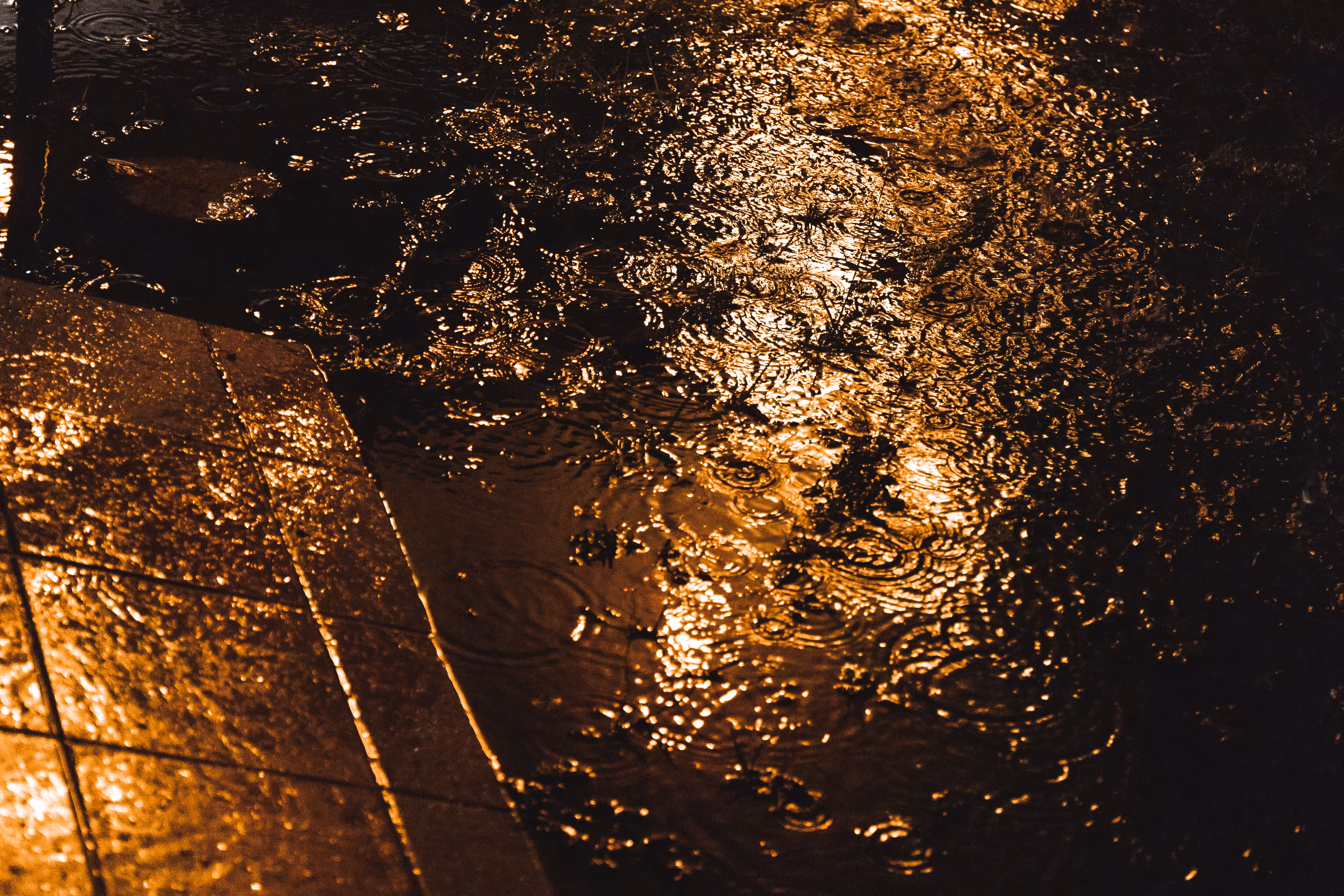 Rain On My Parade