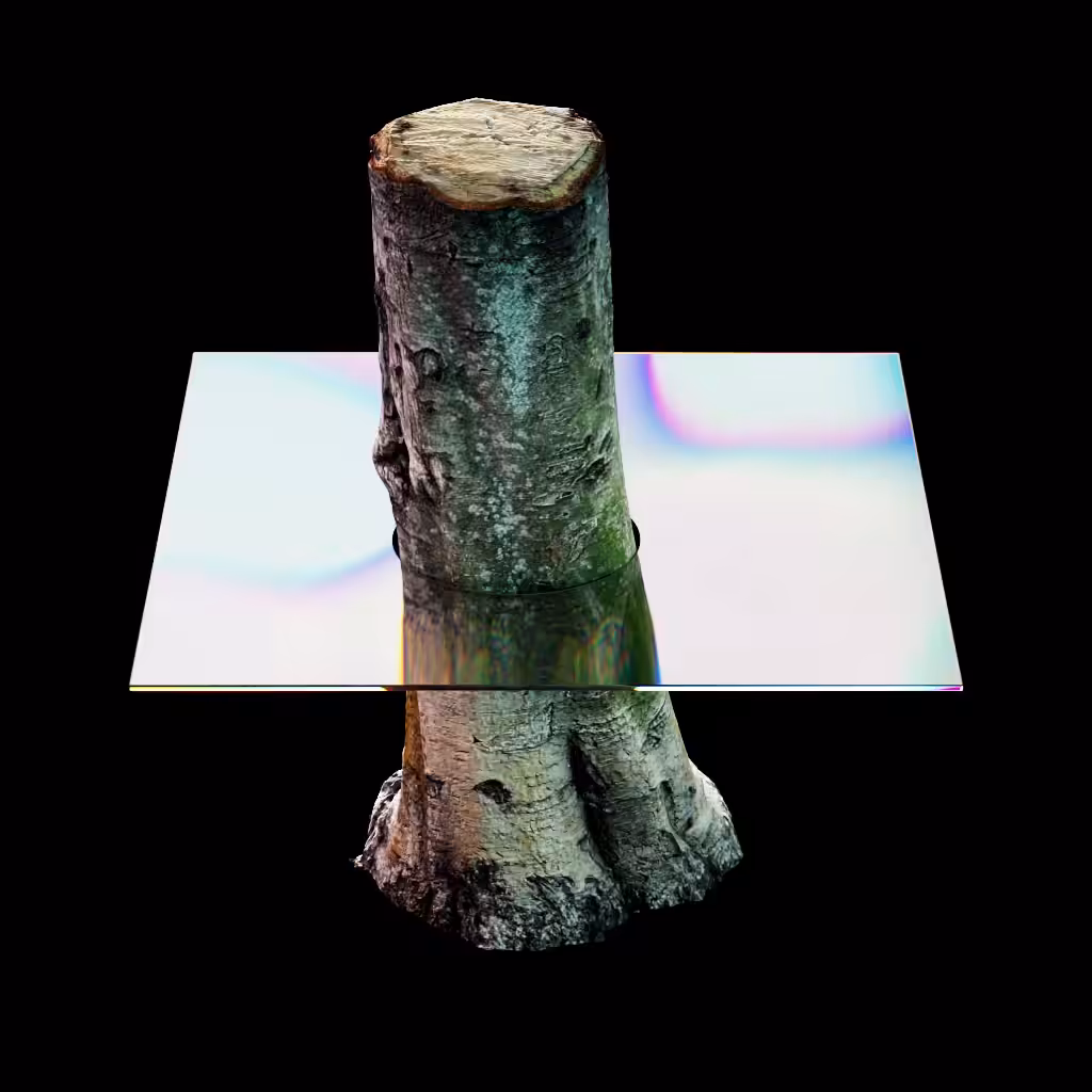 Tree + Glass