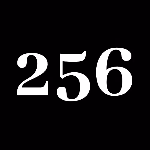 256