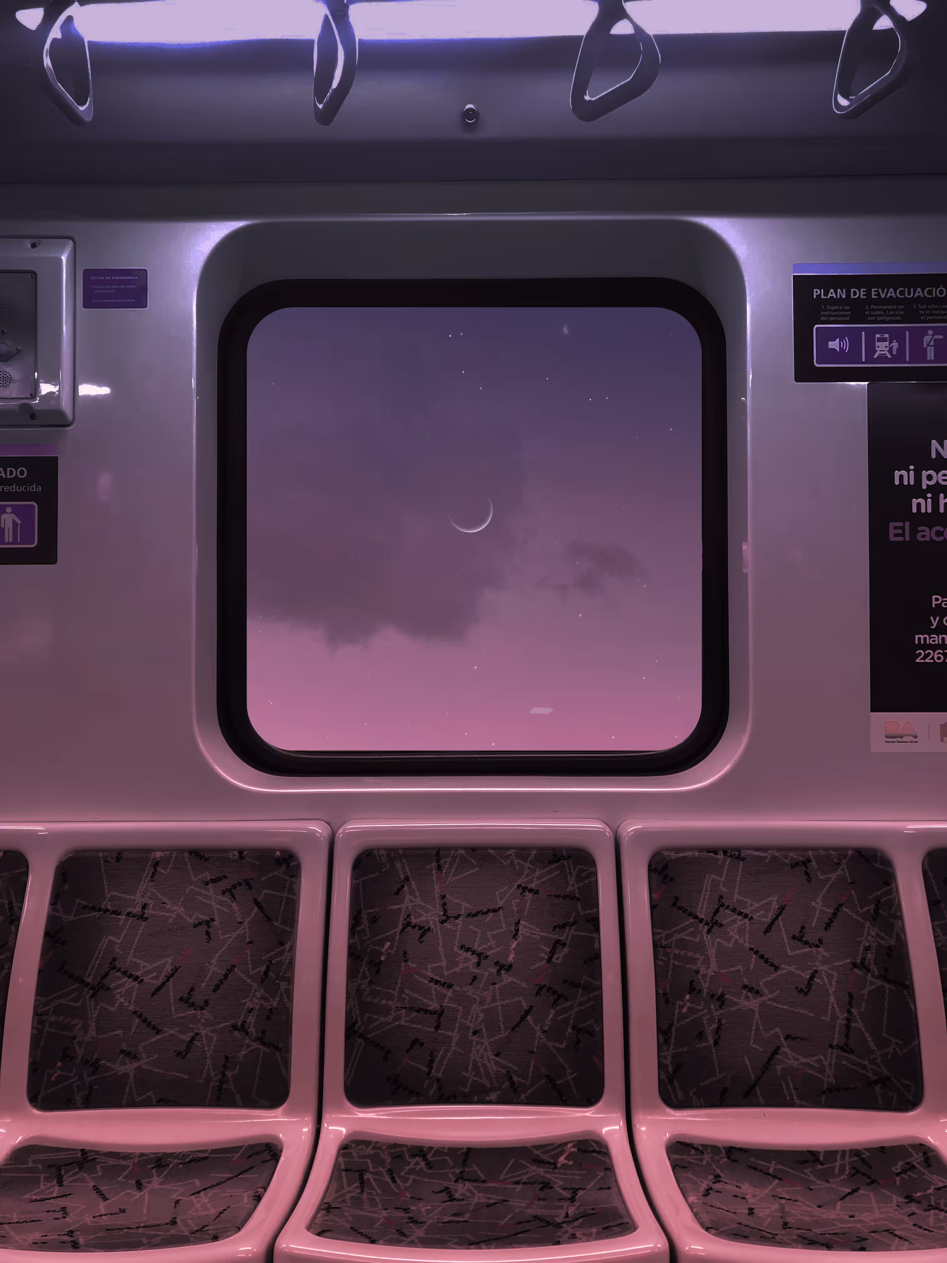 Pink & Purple World #28